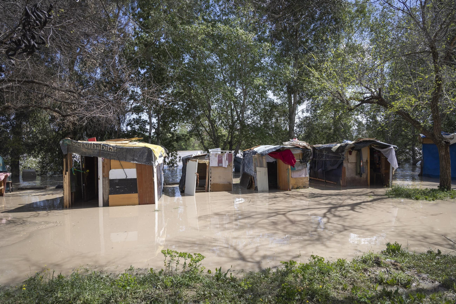 Las imágenes de la inundación del poblado chabolista junto a la orilla del Guadalquivir
