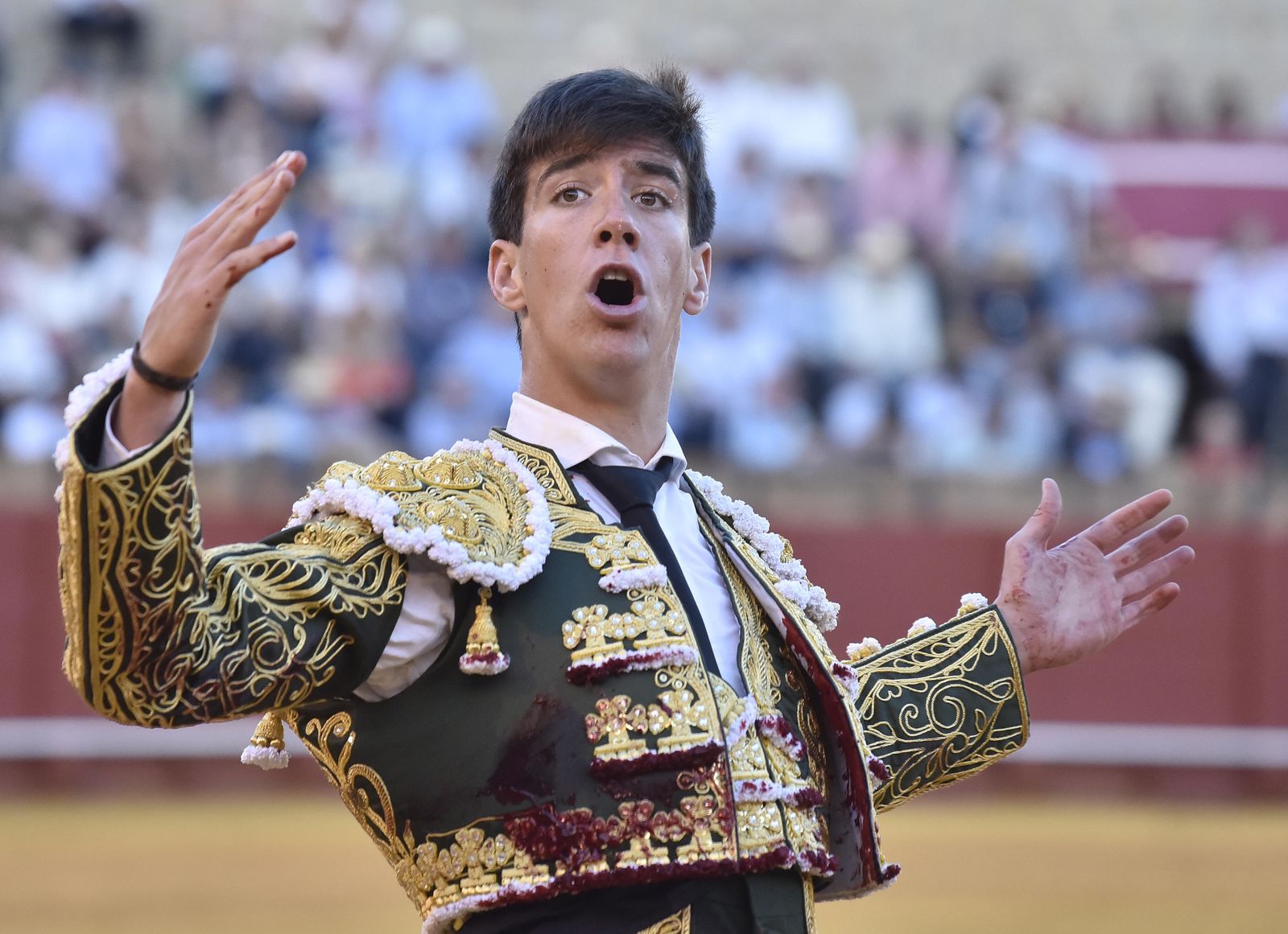 La 14ª de abono en la Real Maestranza de Sevilla, en imágenes