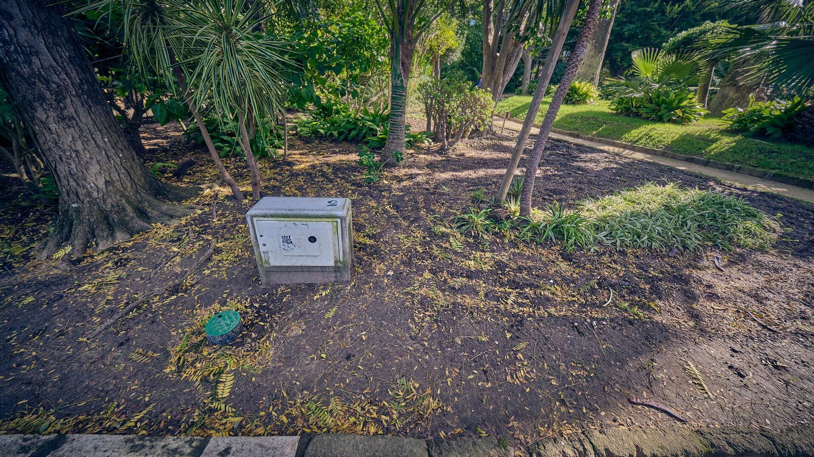 El césped brilla por su ausencia en las zonas ajardinadas.