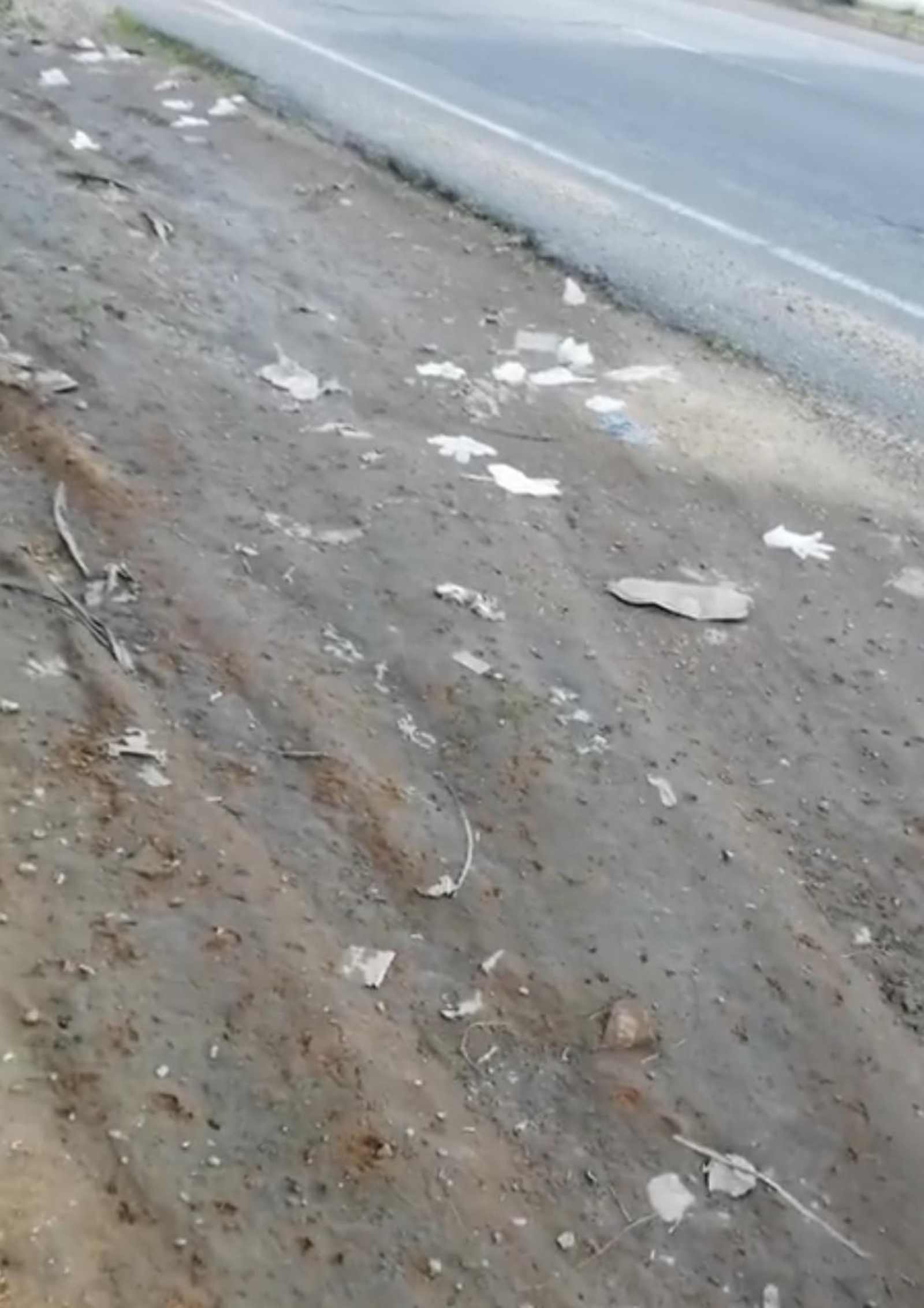 Guantes arrojados en un arcén de Bollullos de la Mitación, en una foto denuncia que llegó al Ayuntamiento.