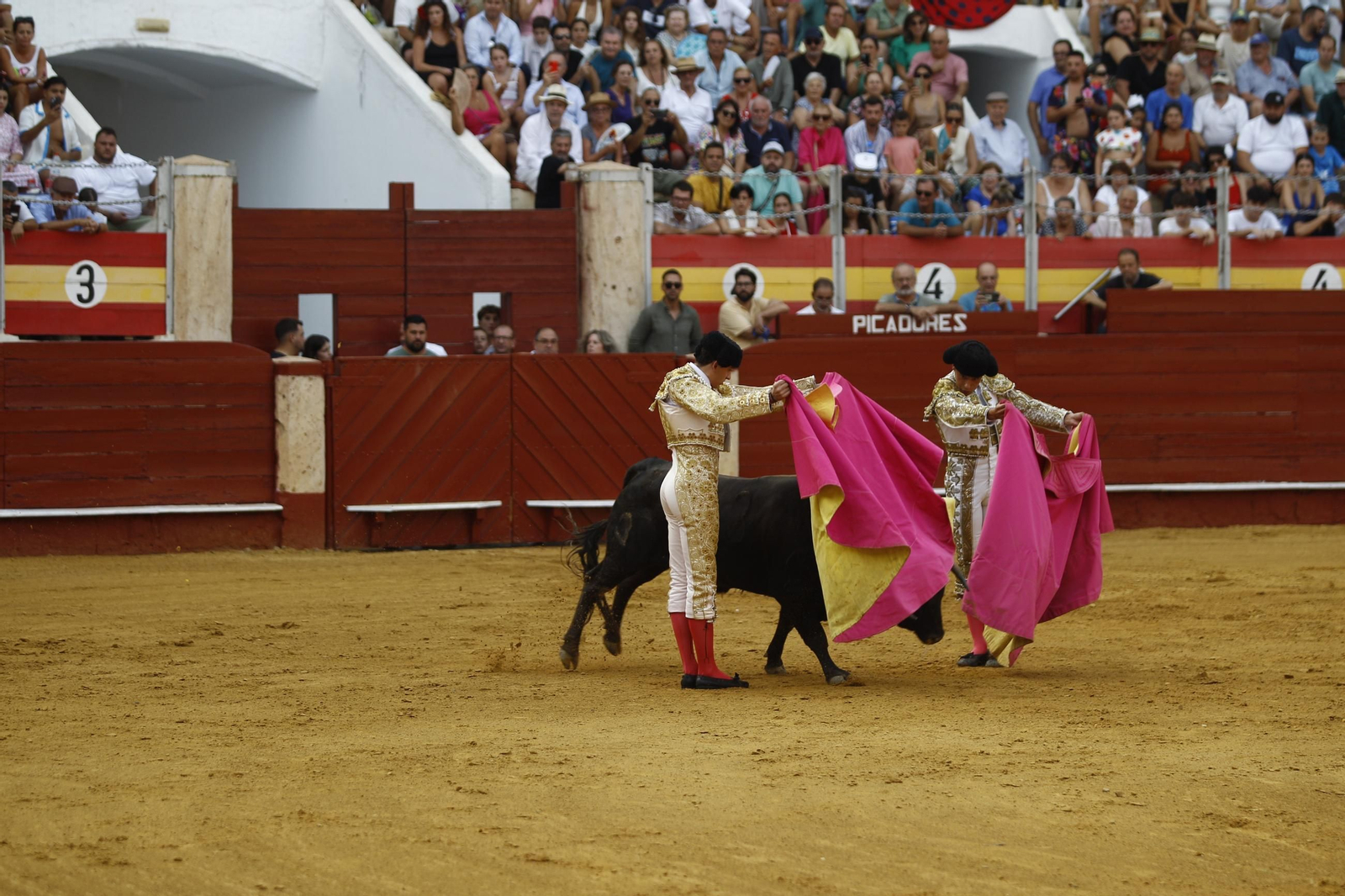 Las mejores imágenes de la clase práctica de la Escuela Municipal Taurina de Almería