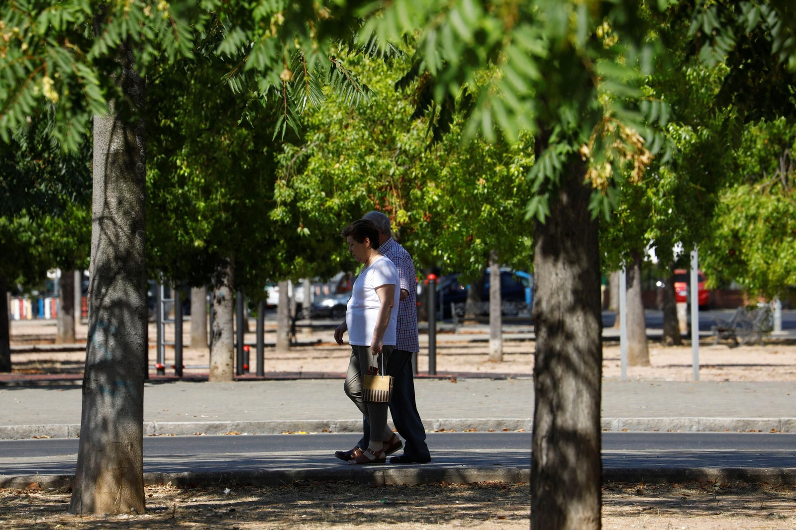 Un domingo de agosto en el barrio cordobés de Santuario, en imágenes