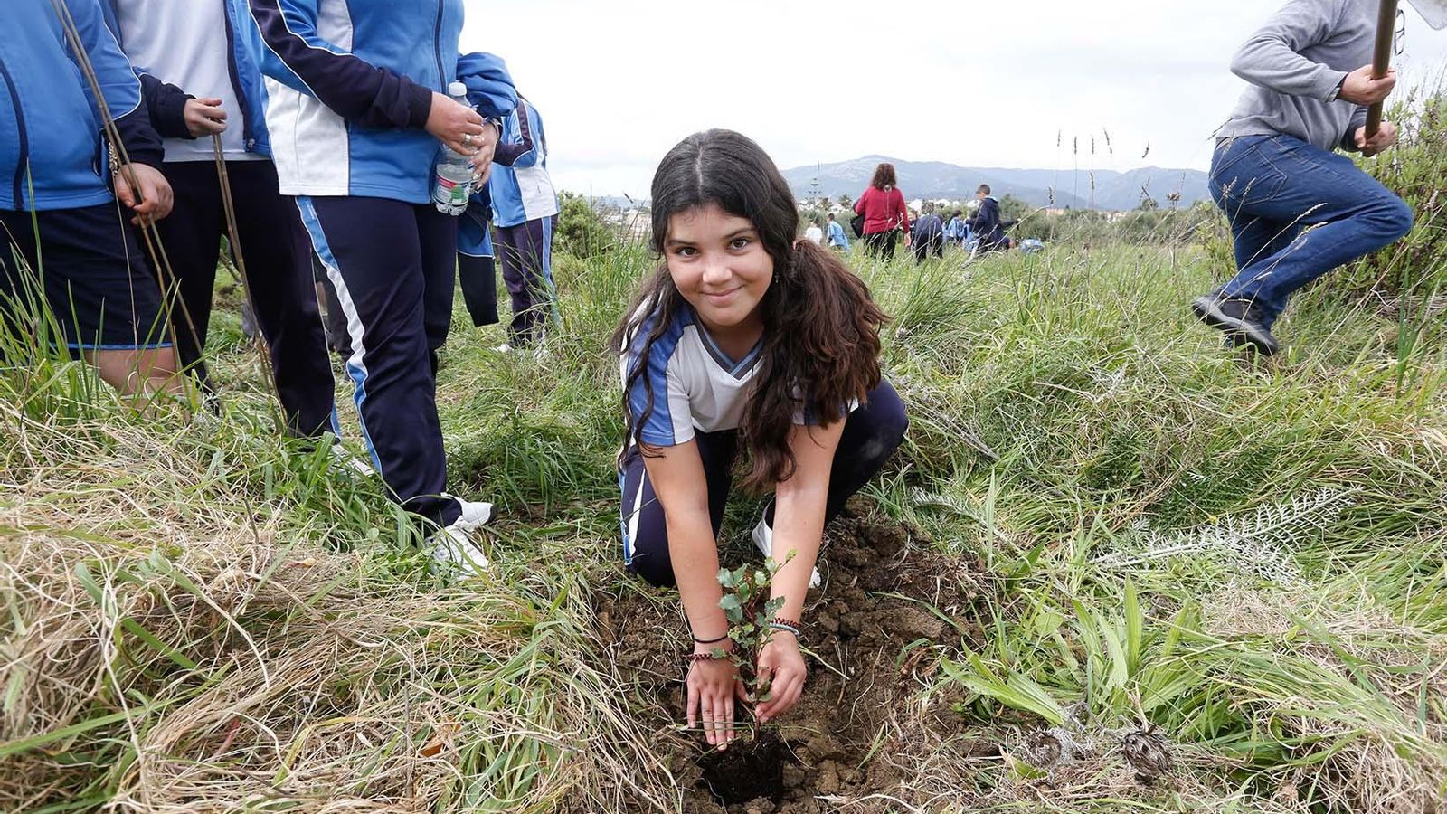 Fotografías de la plantación del programa 'Reverdece' de Acerinox Fotografías de la plantación del programa 'Reverdece' de Acerinox