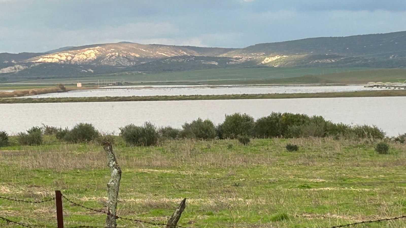 Aspecto actual de la laguna de La Janda, reaparecida tras las recientes lluvias.