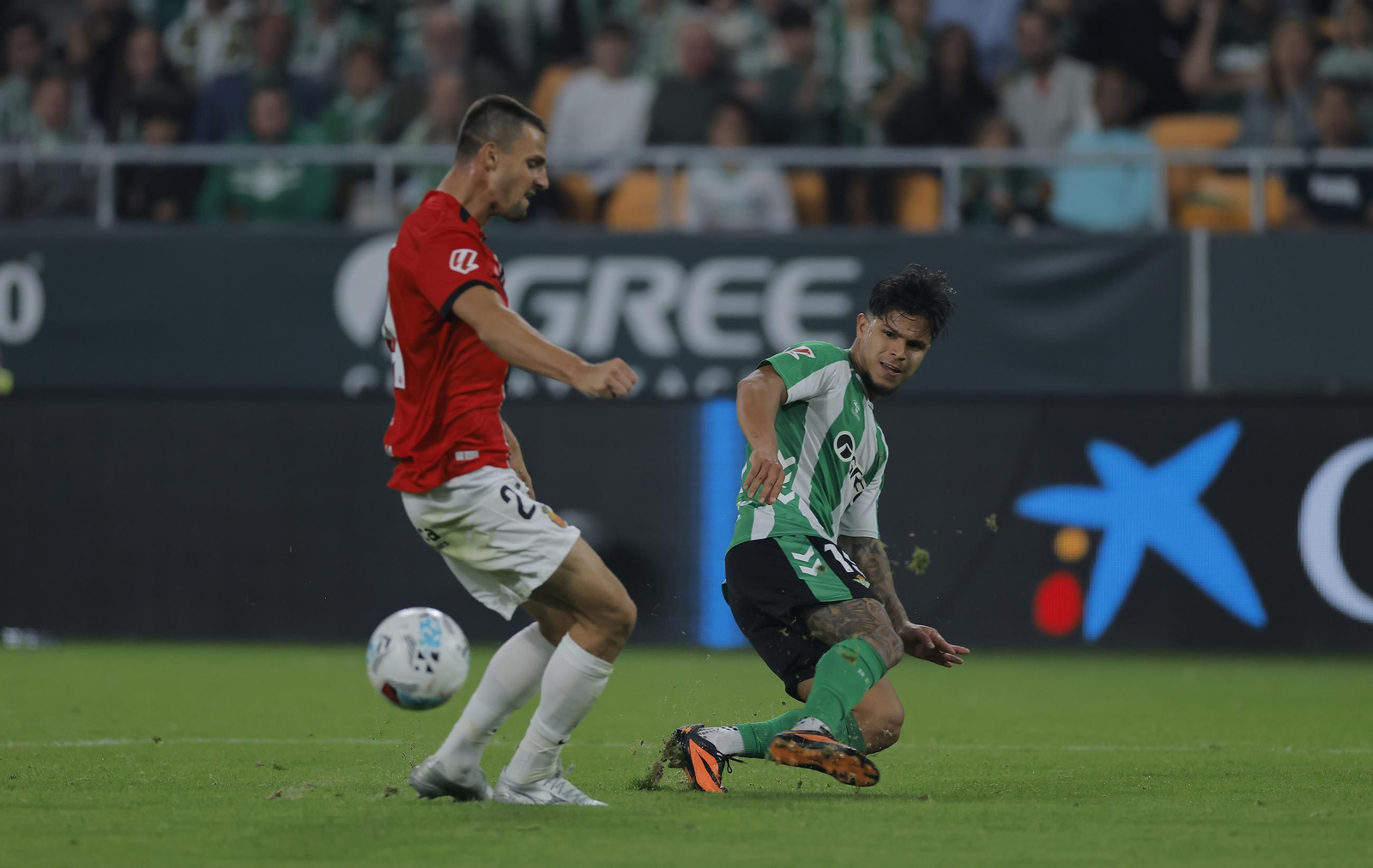 Las fotos del Betis - Mallorca