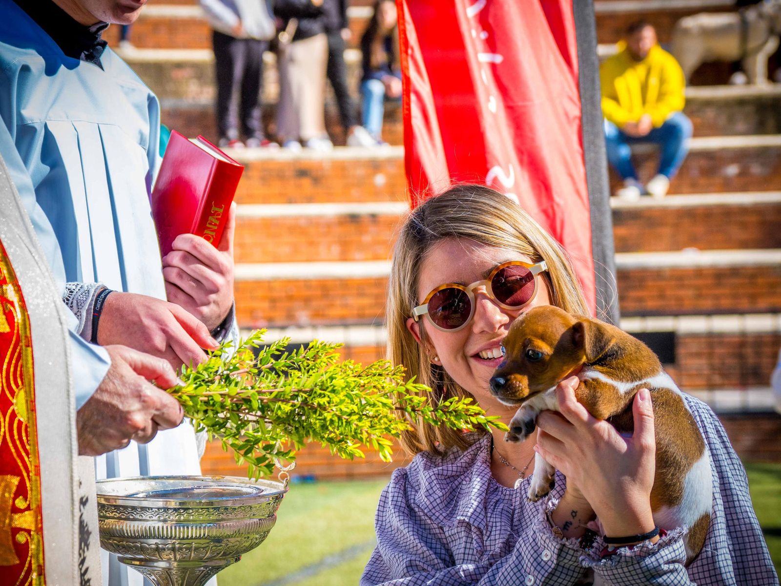 Las imágenes de San Antón 2025 en San Fernando