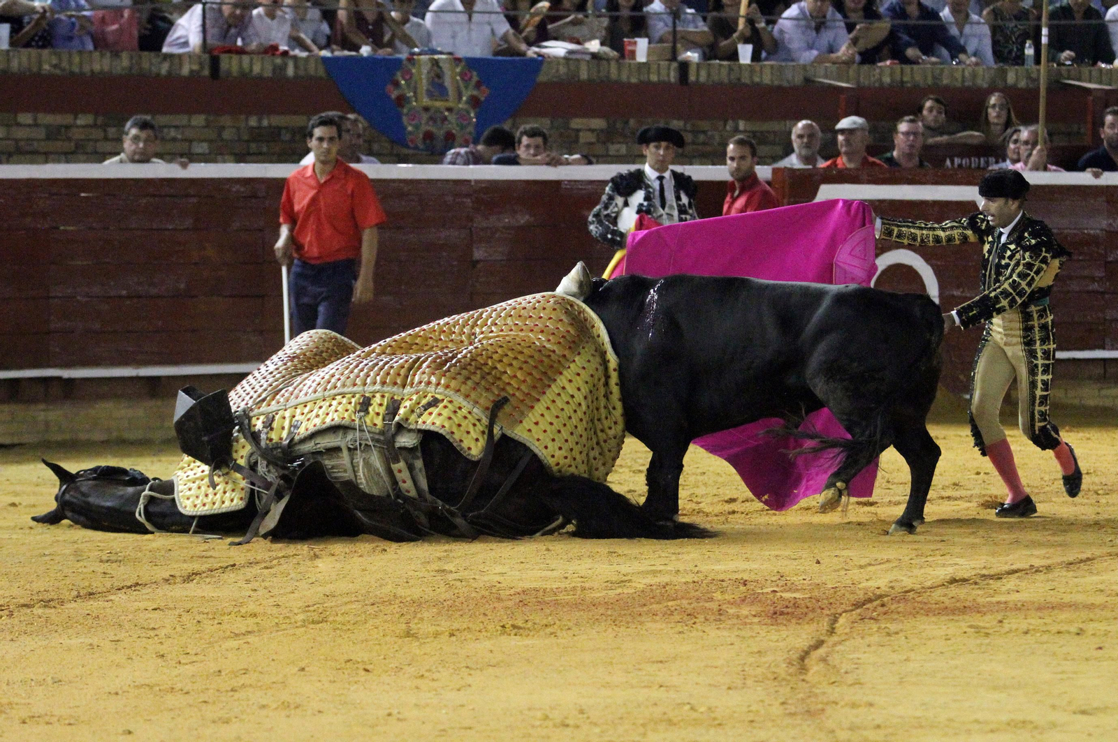Faena de Alfonso Cadaval en la Plaza de toros La Merced