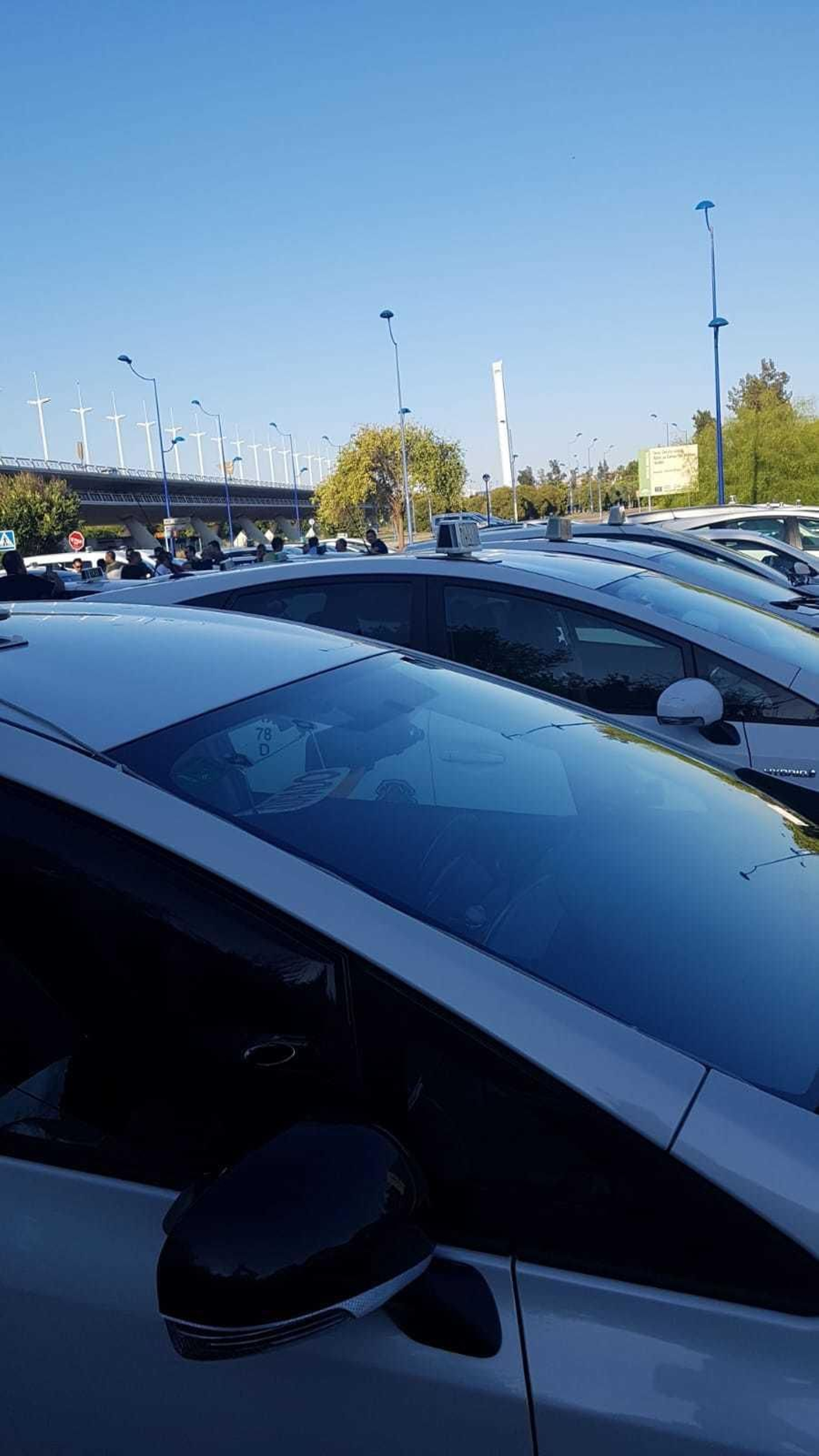 Un grupo de taxis, ayer en la Cartuja.