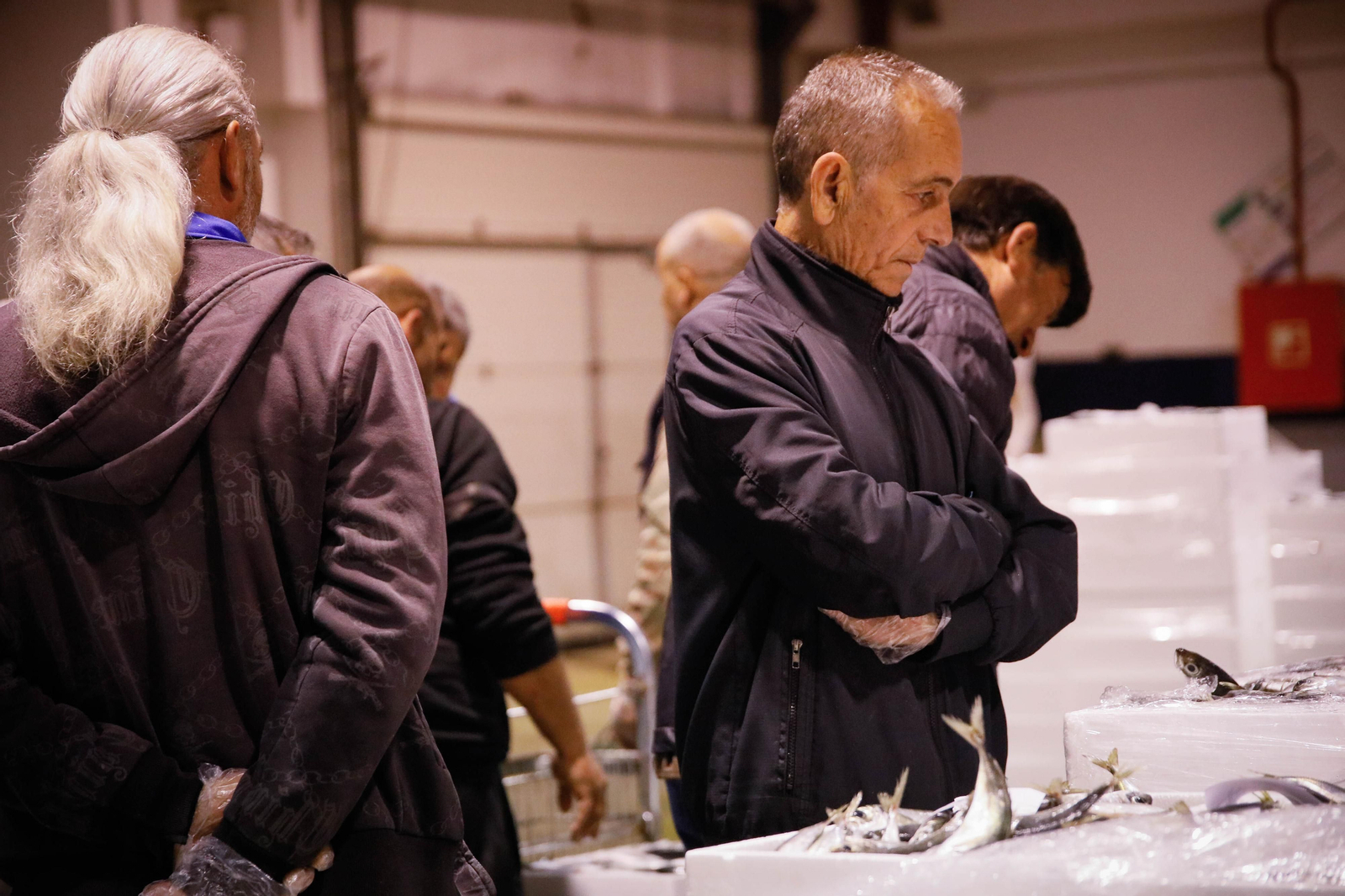 Te contamos en imágenes como ha sido la descarga de las traiñas en la lonja de Almería