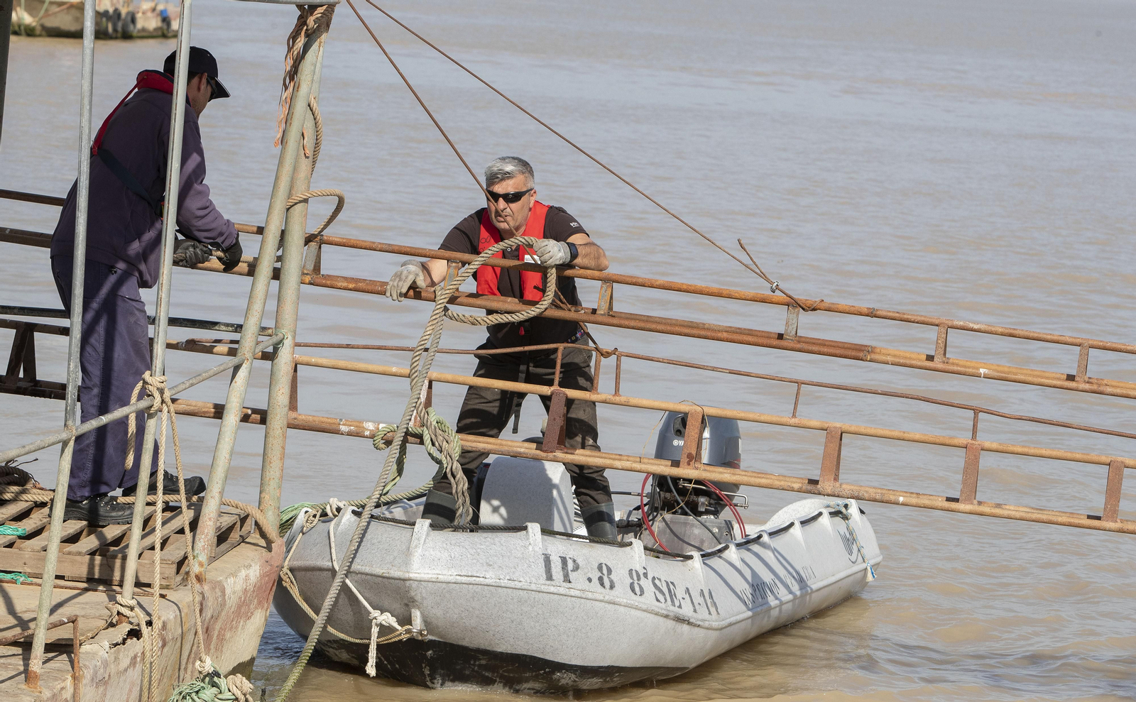 Operación Ave  fenix contra la pesca  de la angula