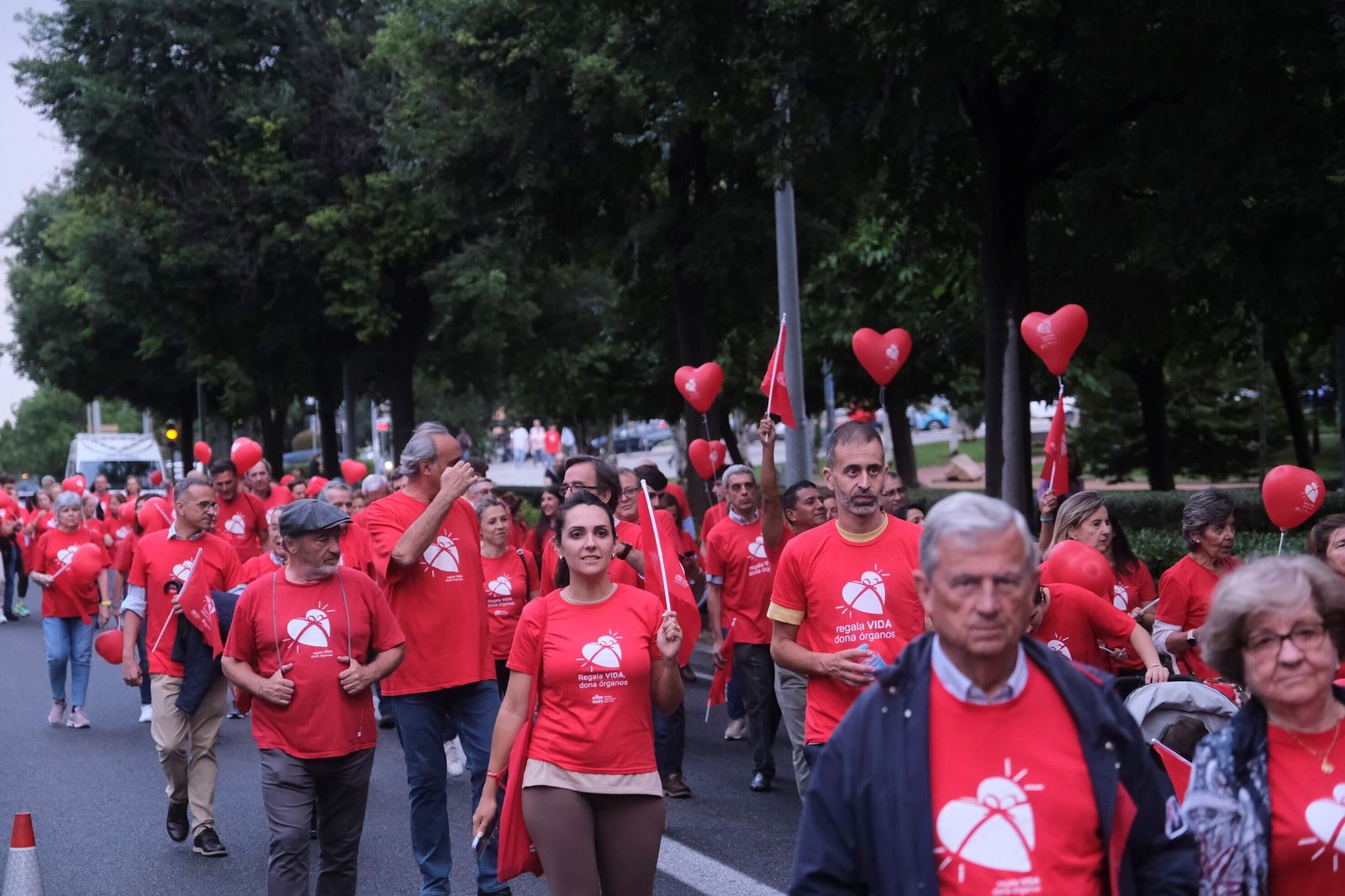 La marcha por la donación tiñe de rojo las calles de Córdoba, en imágenes