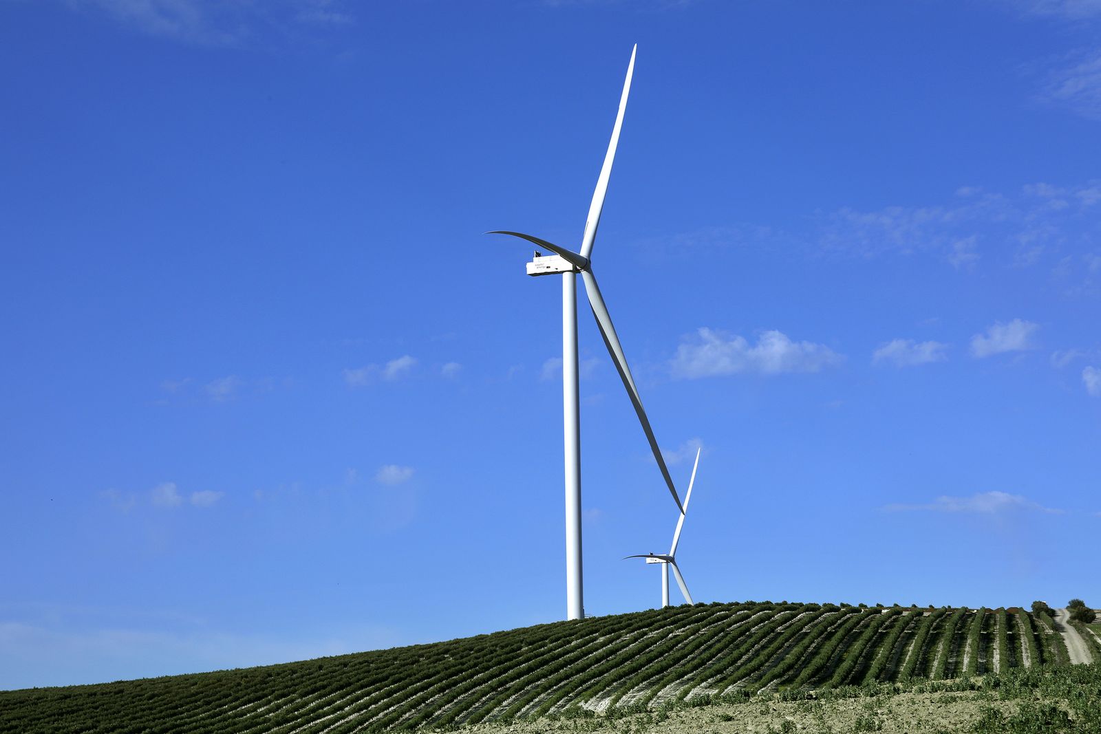 Imagen del parque eólico Loma de los Pinos, en Lebrija.