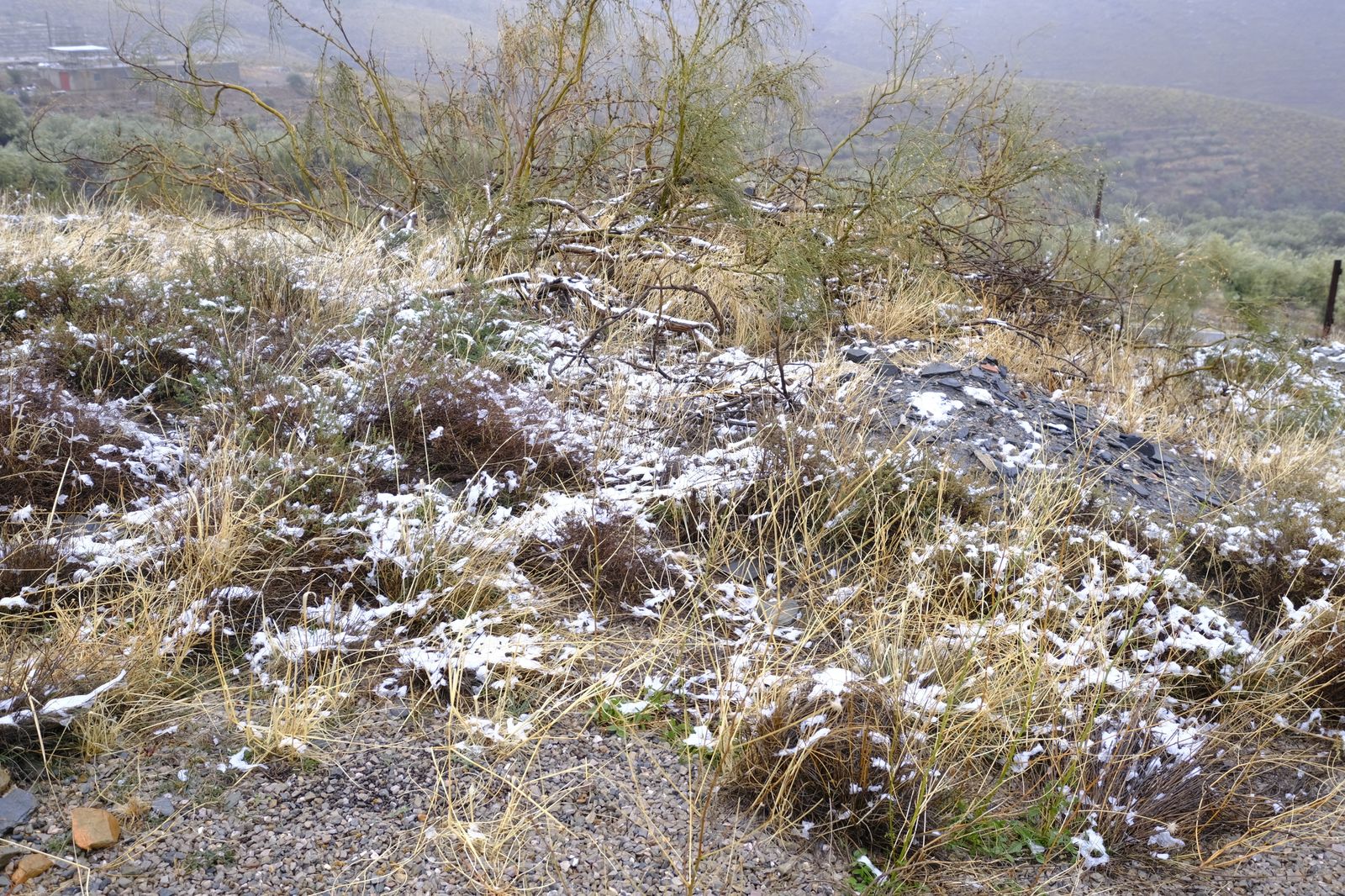 Fotogalería nevada en la Provincia de Almería