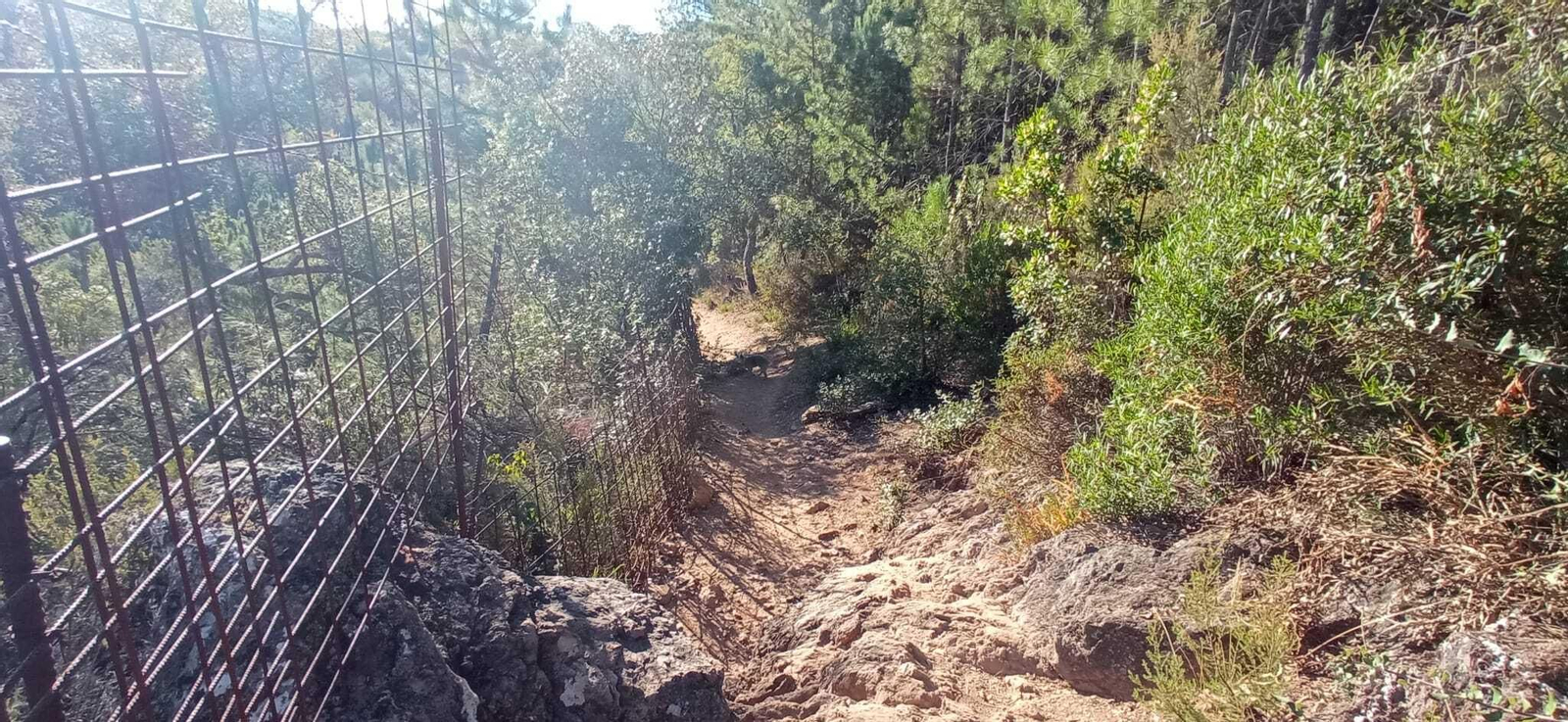 Las imágenes de la Ruta del charco malo