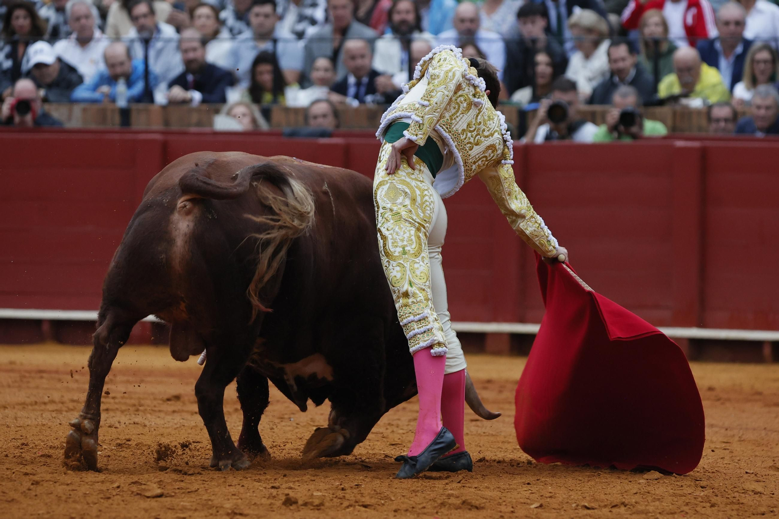 Las imágenes del festejo