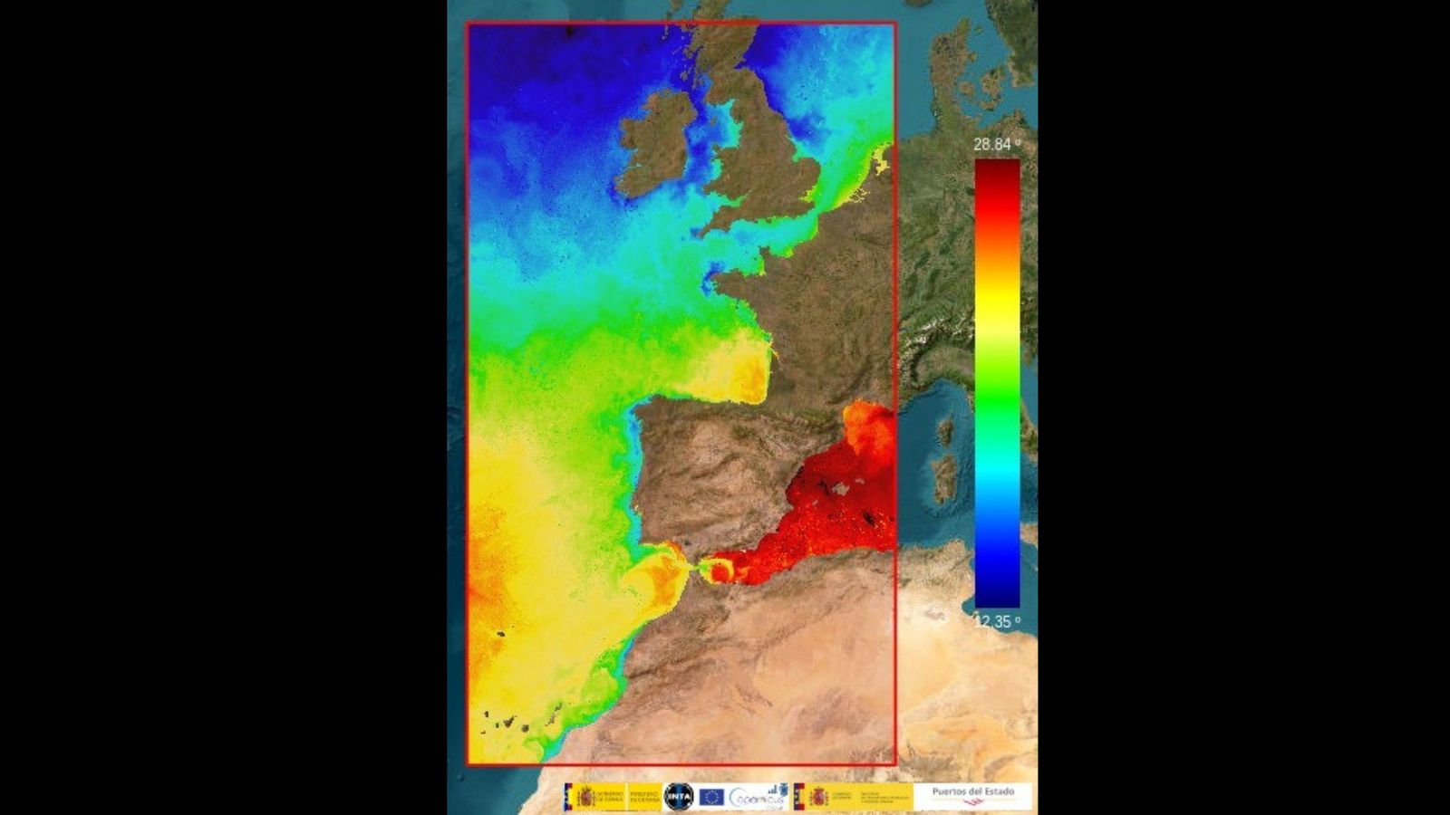 Imagen de la web de descarga de datos Portuscopia, de Puertos del Estado, para el día 12 de agosto de 2024.