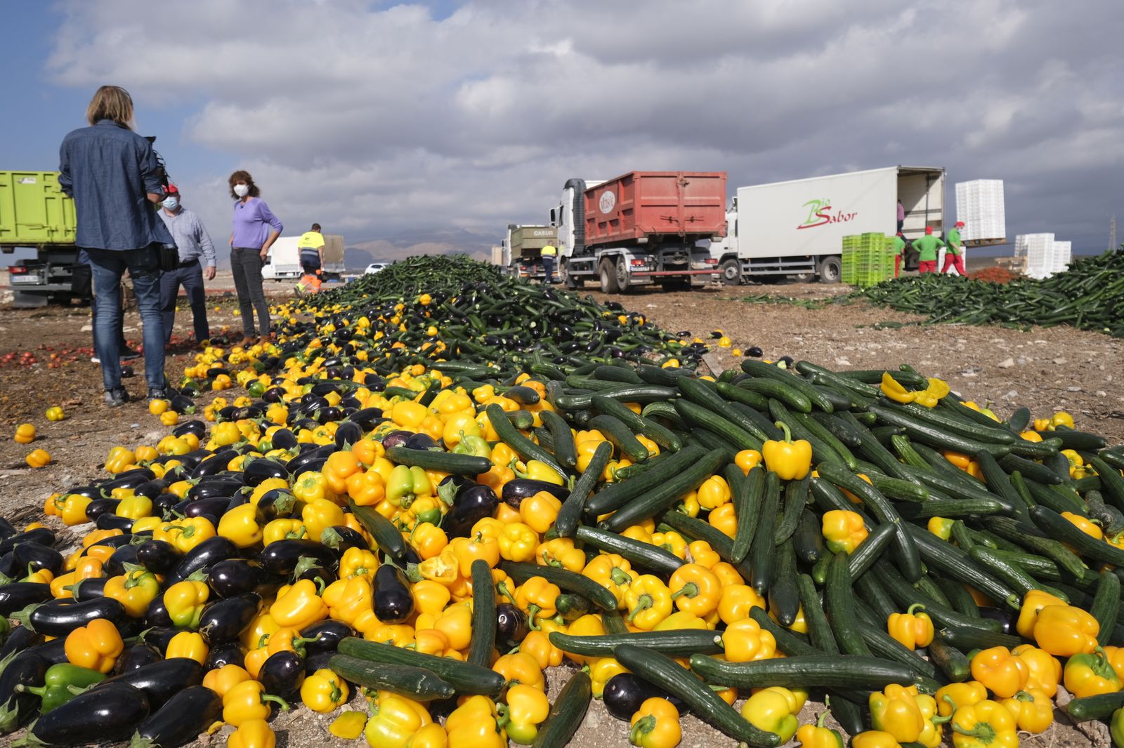 Fotogalería destrucción de pepinos en Almería