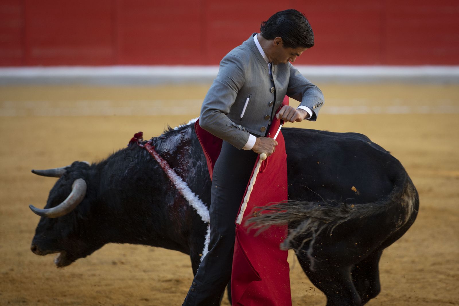 Las mejores imágenes del Festival Taurino en beneficio de Granadadown