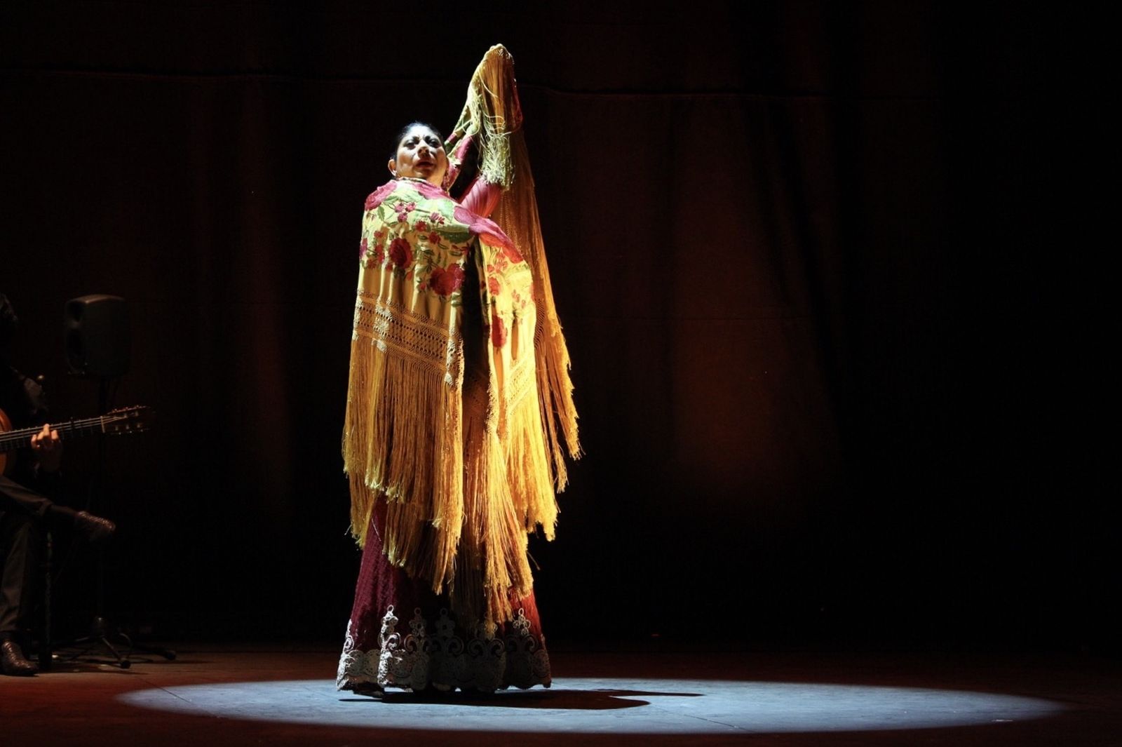 La bailaora sevillana Manuela Carrasco.