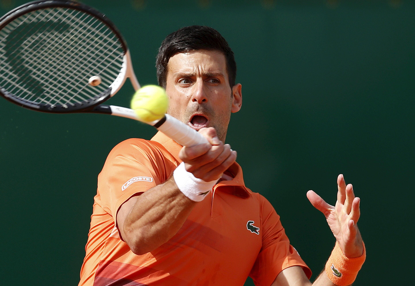 Las fotos del Djokovic-Davidovich
