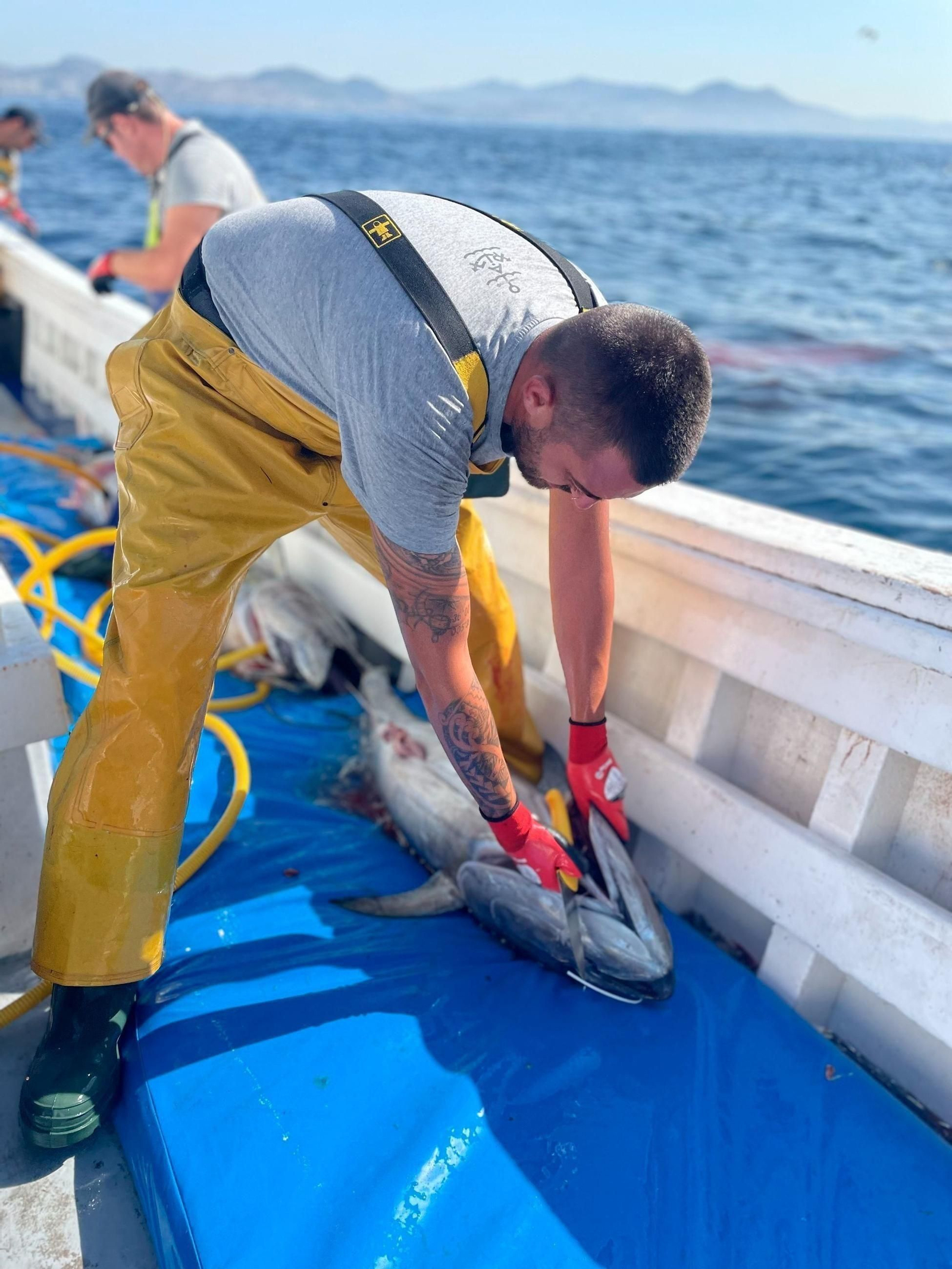 Un pescador del Estrecho prepara un atún.