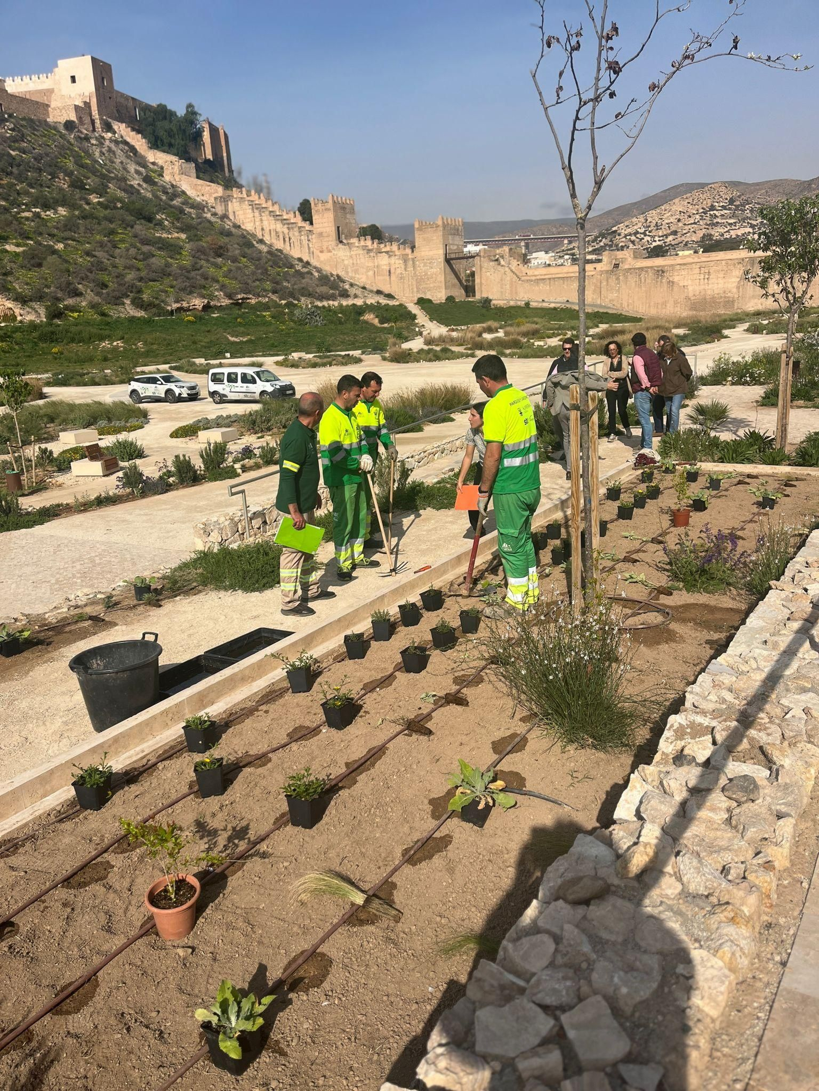Jardineros en el parque de La Hoya