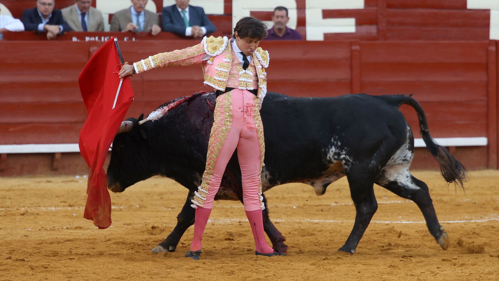Tercera tarde de toros y última de la Feria de Jerez con Morante, Juan Ortega y Roca Rey