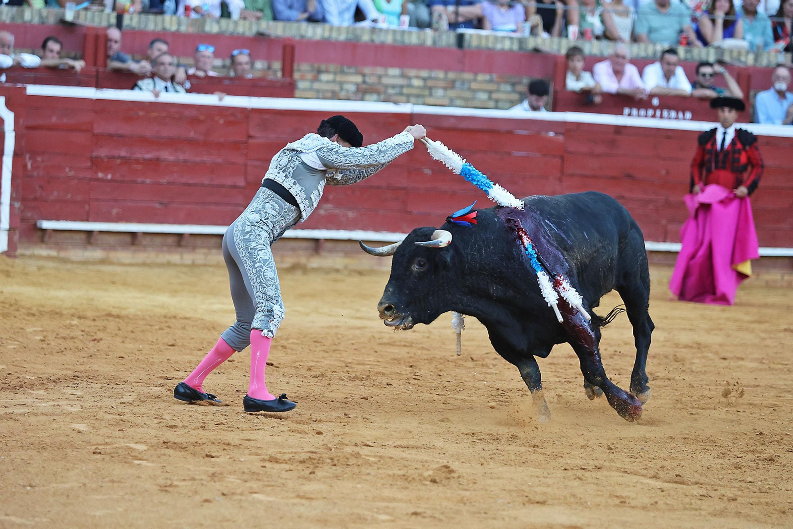 Toros La Merced 2024 Novillada con picadores(
