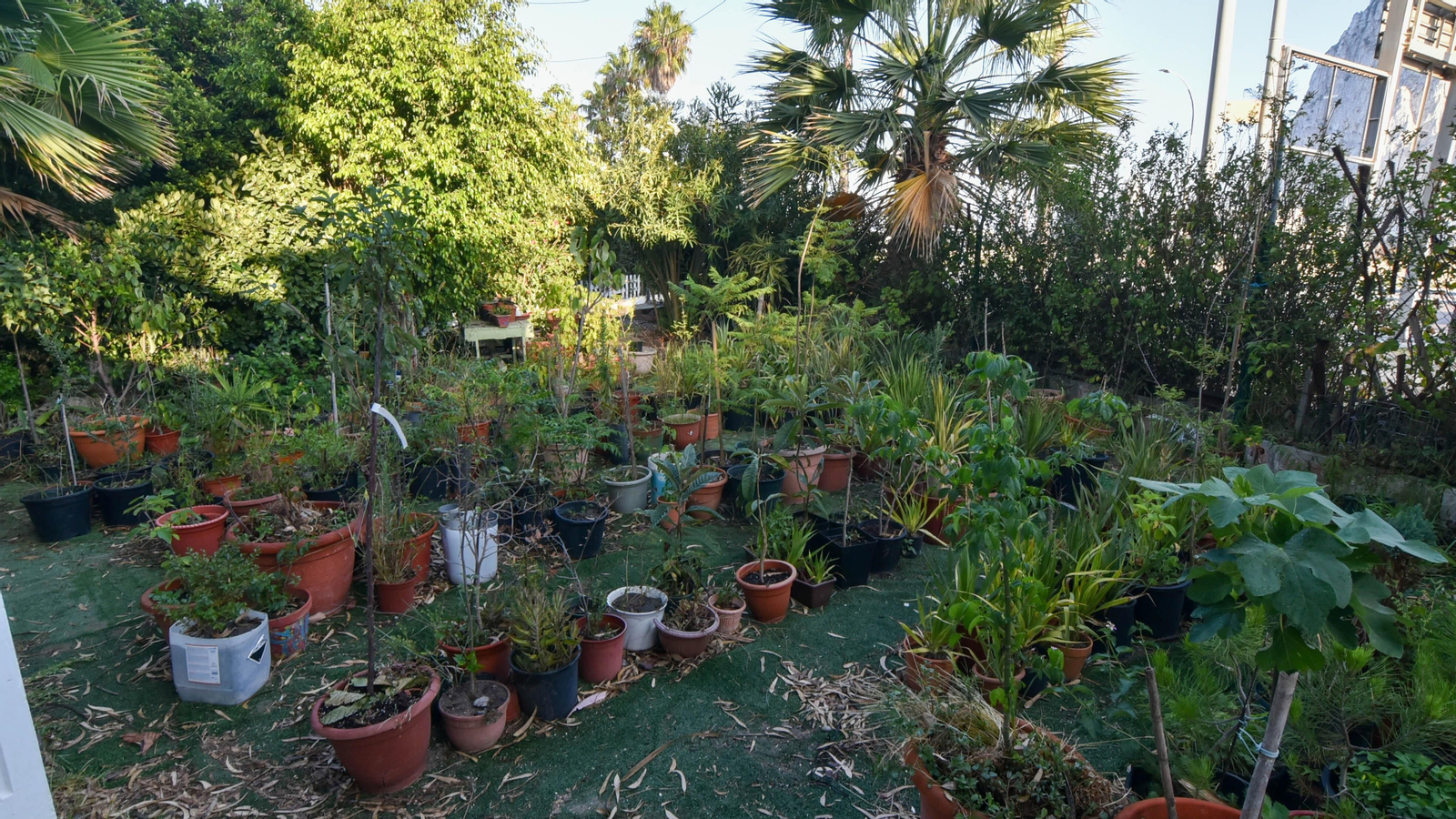 Un día en el Parque Princesa Sofía en La Línea