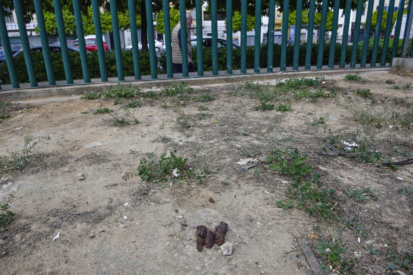 El mal estado de la Ronda del Tamarguillo, en imágenes