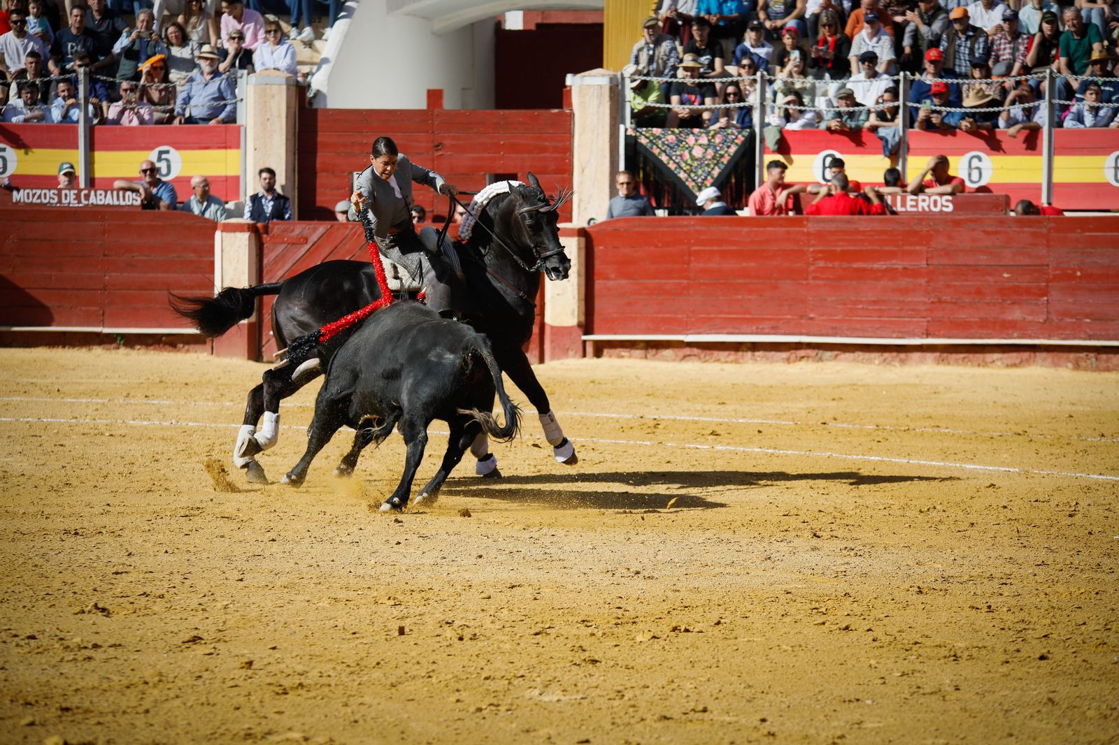 Imágenes del festival mixto lucha contra el cáncer