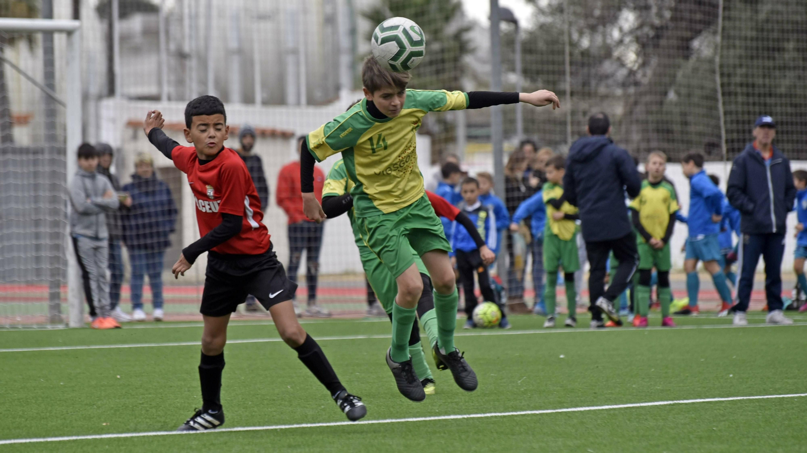 Las mejores fotos del XII Torneo de Navidad de futbol base AD Taraguilla