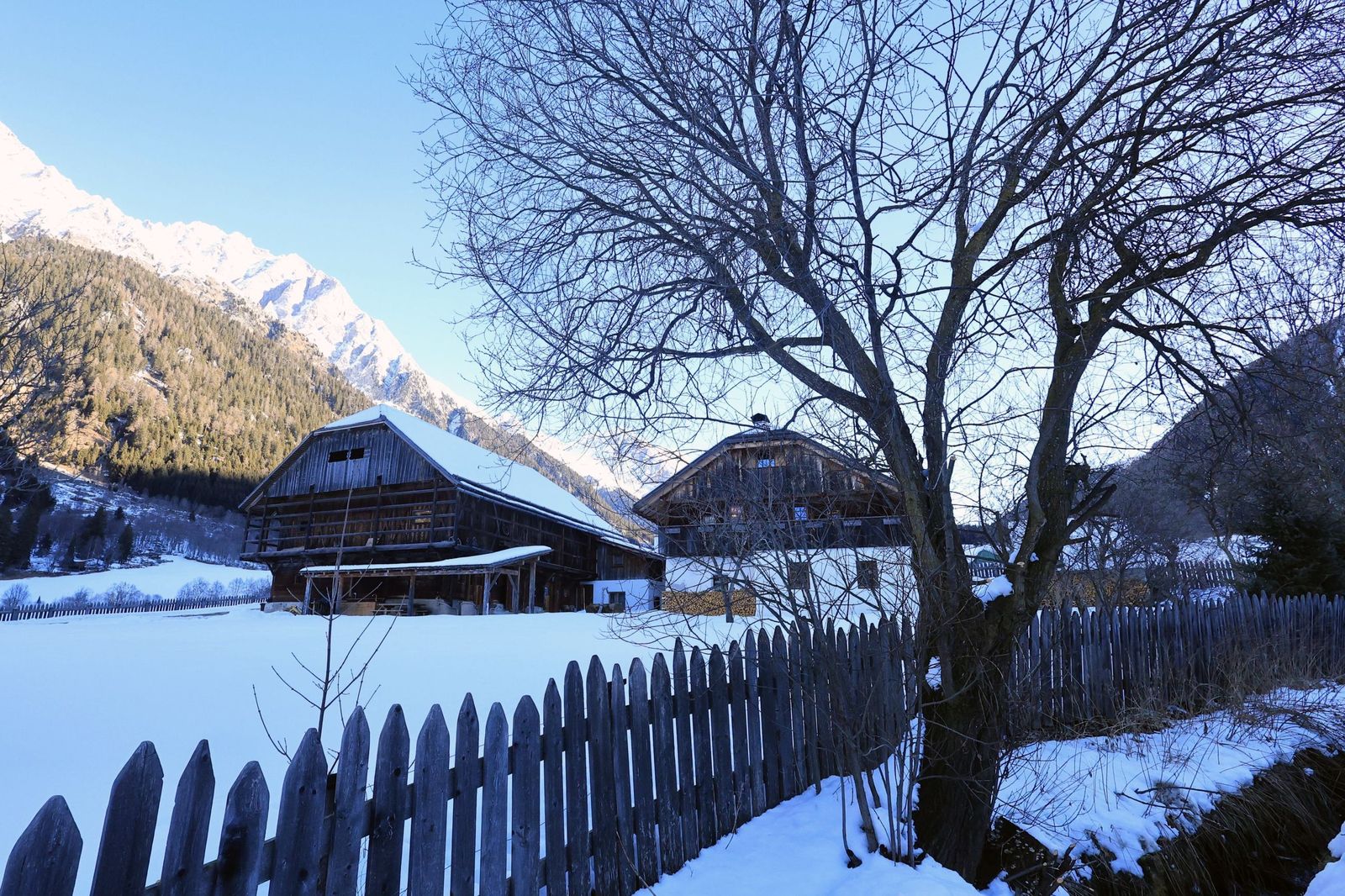 Las mejores fotos de los Juegos Olímpicos de invierno Milán Cortina d'Ampezzo 2026 | Tercera jornada