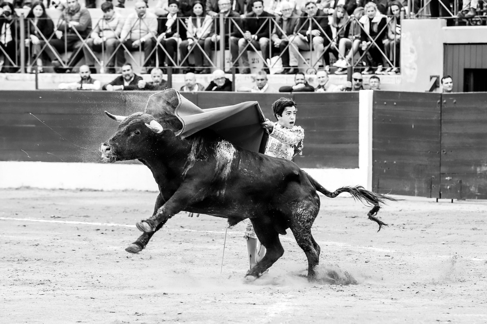 Imágenes de la novillada previa a la Semana Santa en la plaza de toros de La Línea