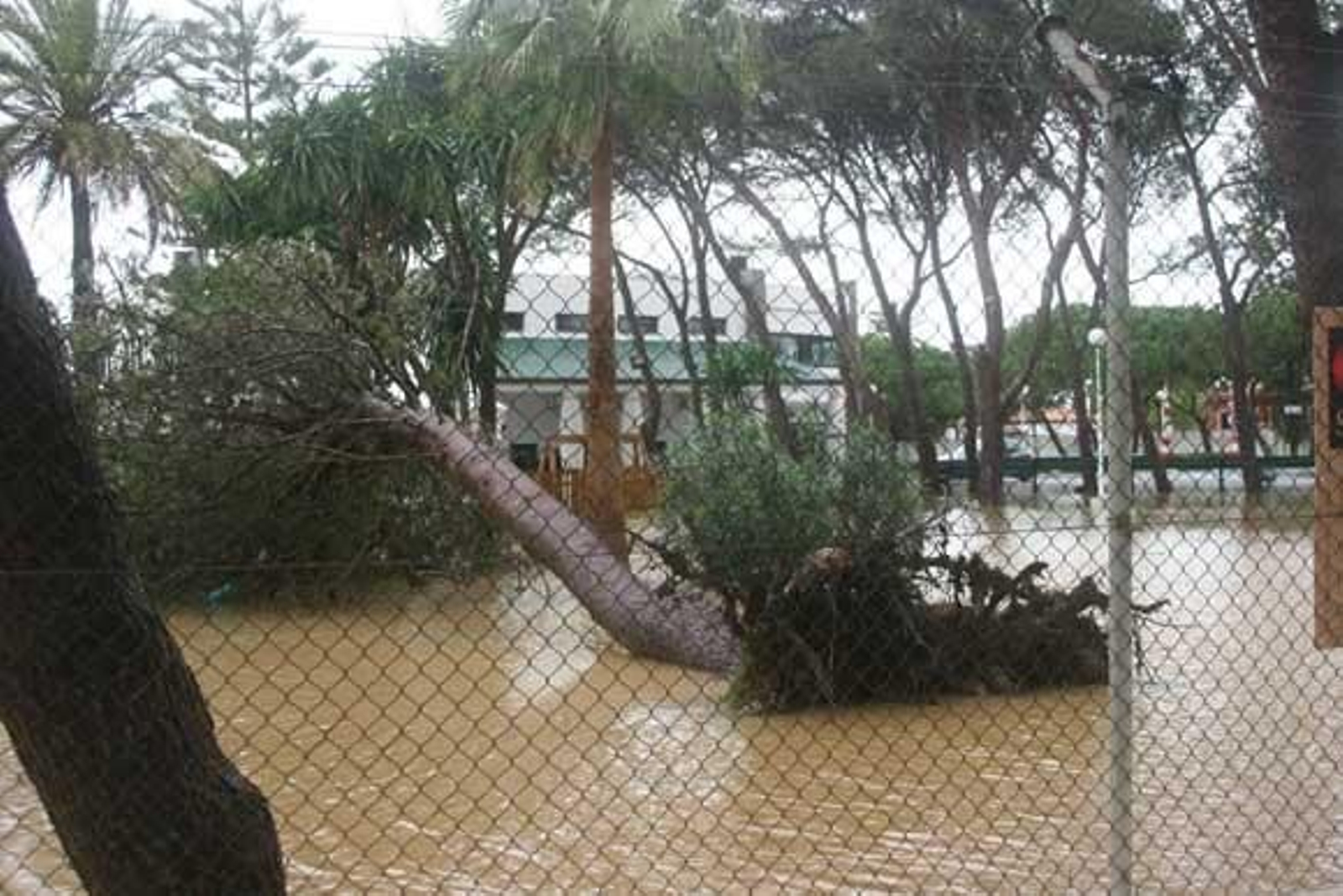 La intensa lluvia caída durante el fin de semana obligó a cortar el tráfico de acceso a Chiclana. En San Fernando, el agua alcanzó el metro de altura en la Venta de Vargas.

Foto: Sonia Ramos-Elias Pimentel