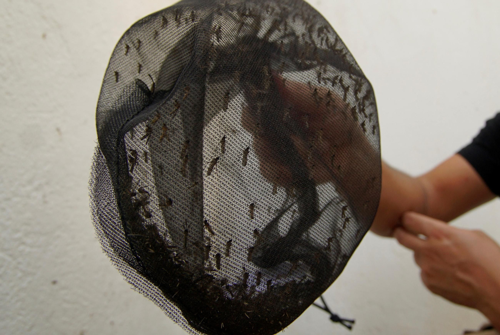 Detalle de una de las trampas instaladas en los municipios de la provincia para la detección de virus del Nilo.