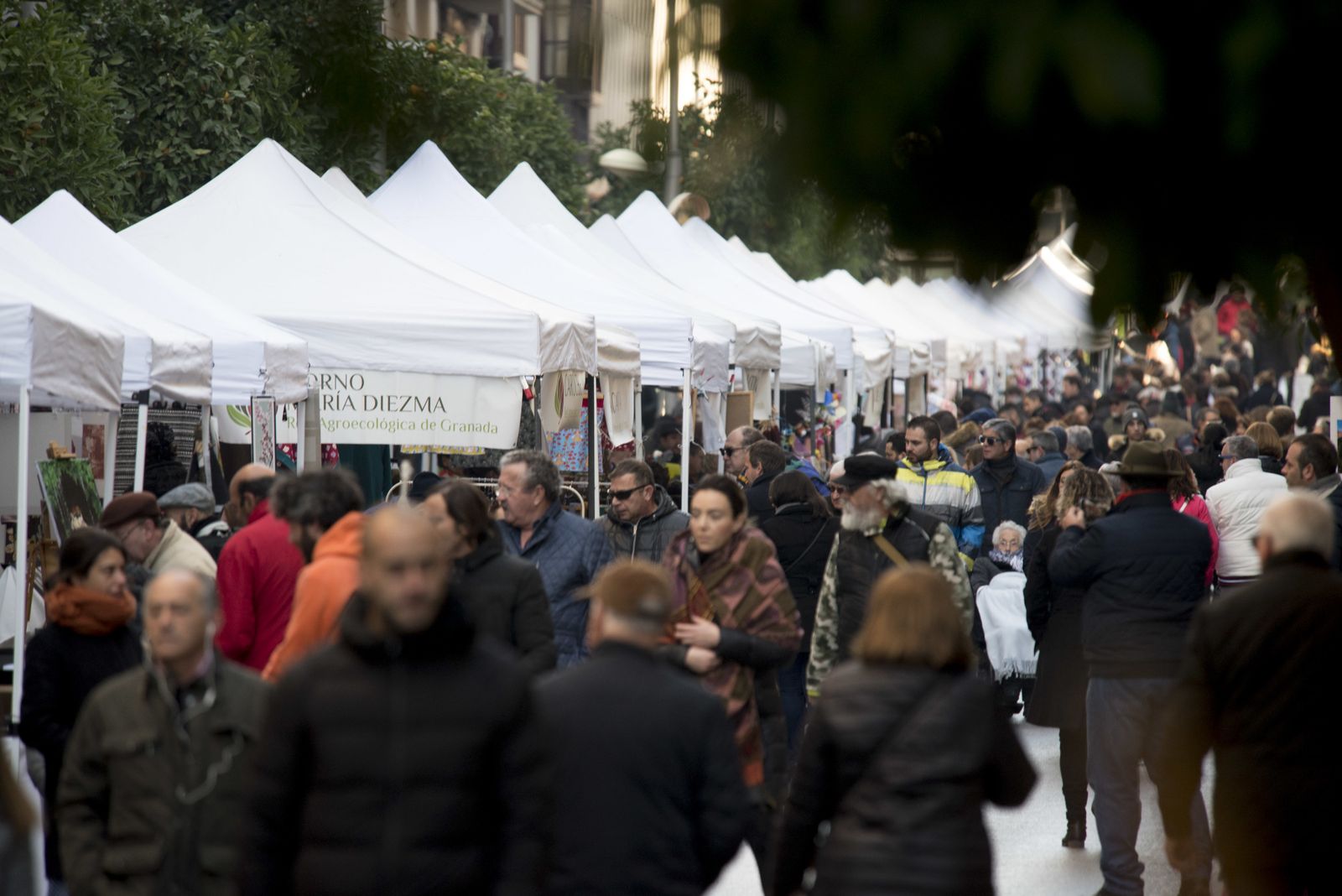 Las imágenes del Día sin coches