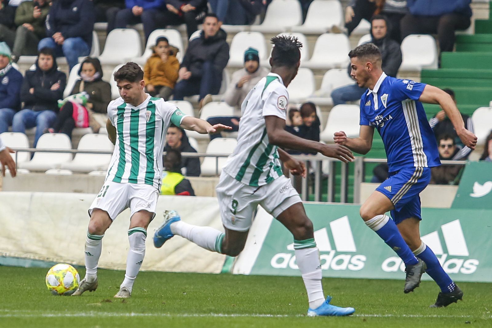 Las fotos del Córdoba CF - Marbella