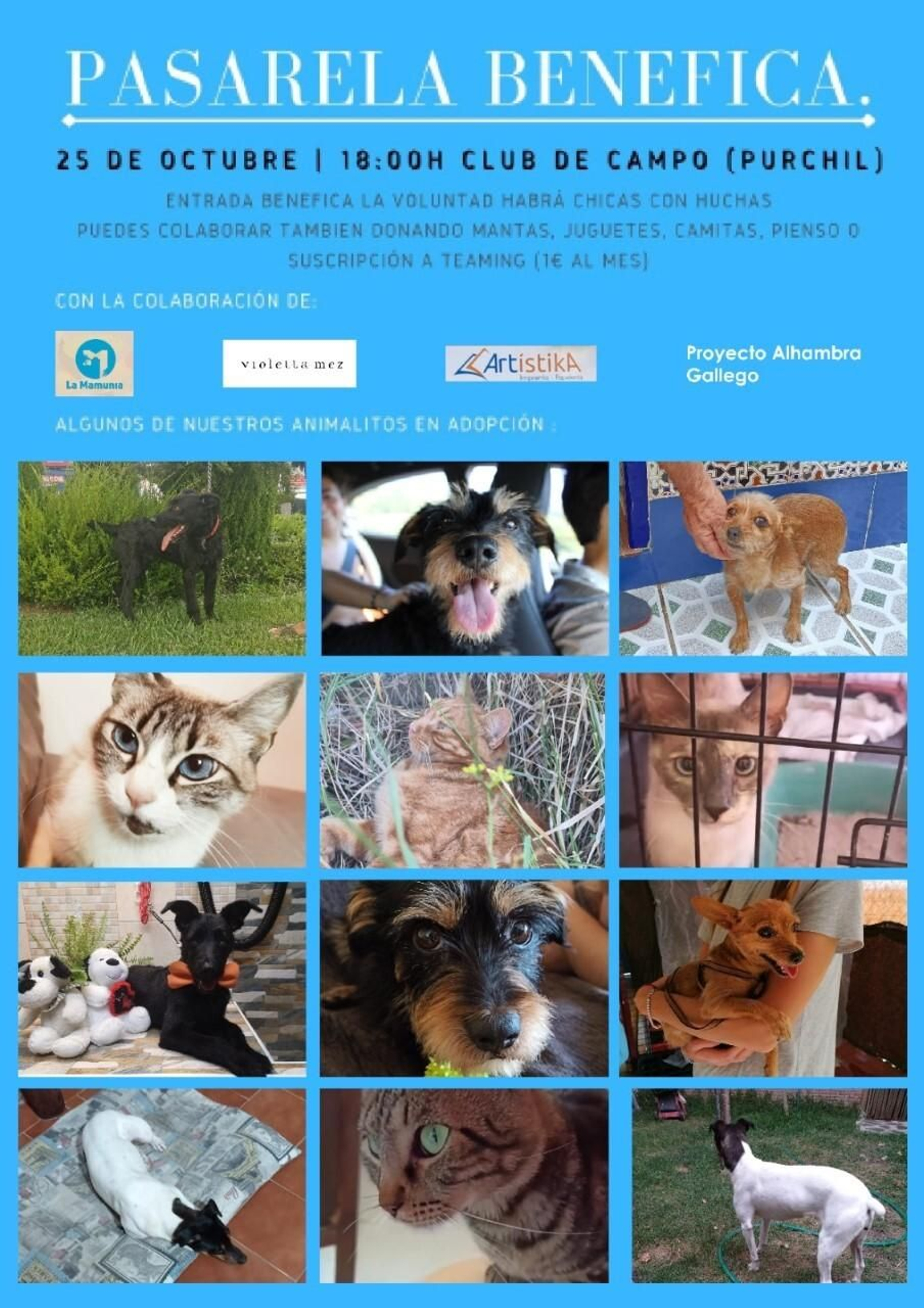 Cartel de la iniciativa. Cartel de la iniciativa.