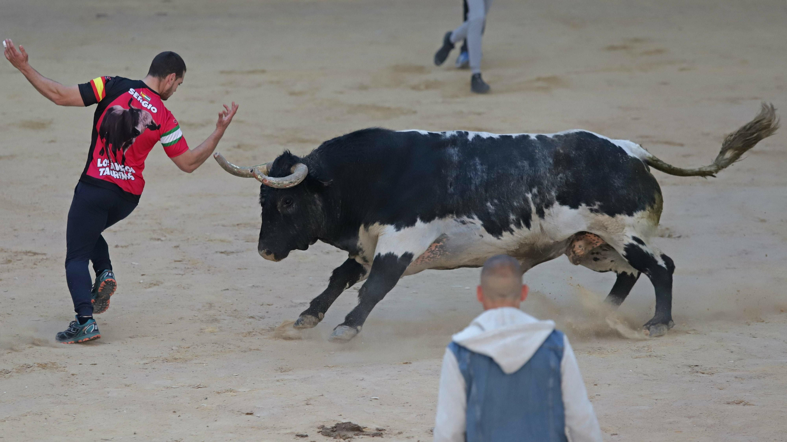 Toro de la Víspera en Los Barrios