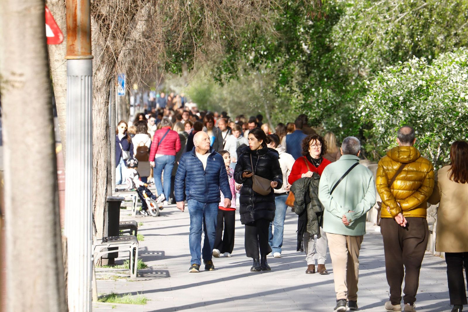 El sol vuelve a salir en Córdoba después de varios días de lluvia.