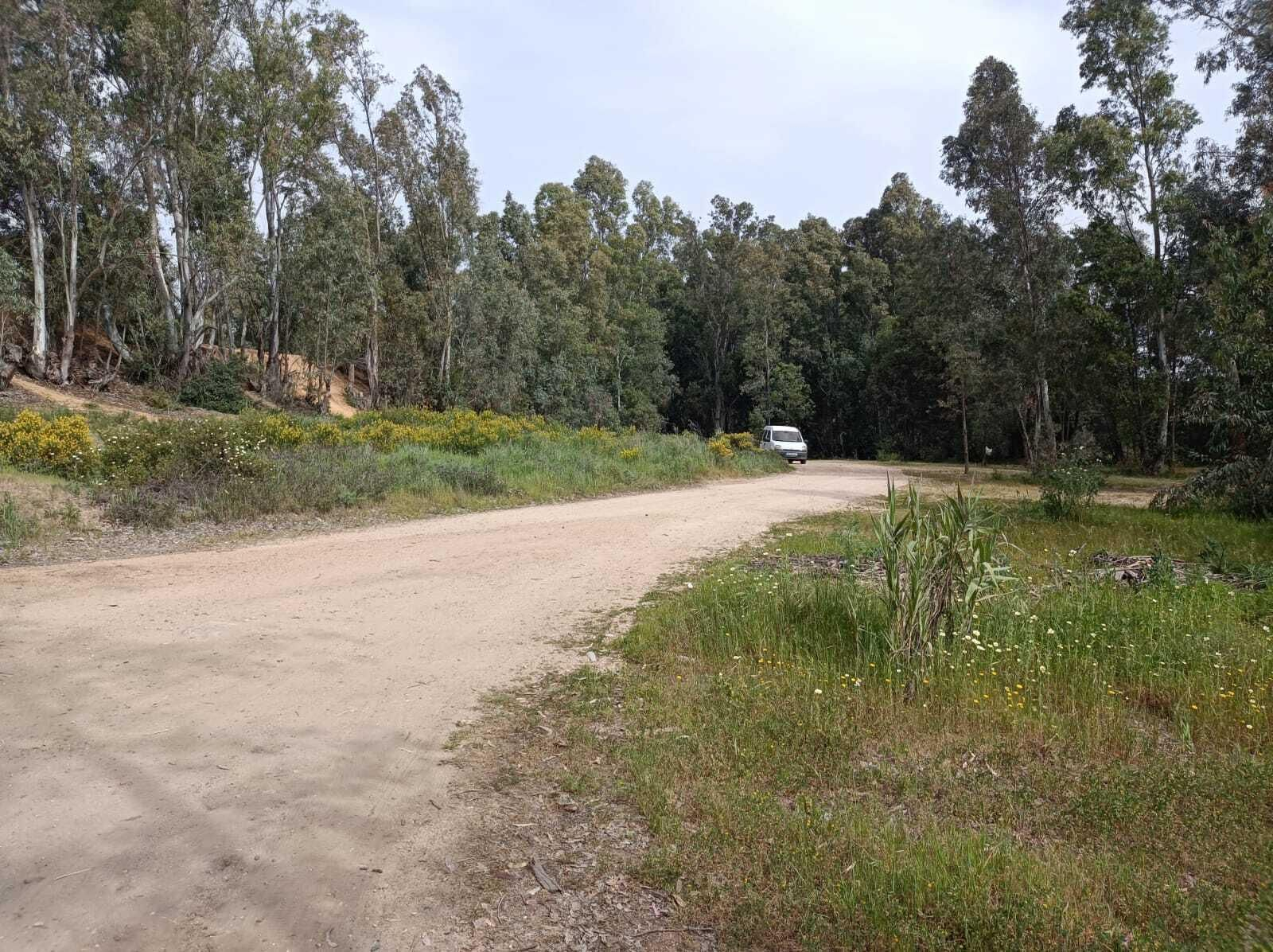 Nos apartamos de la carretera y la vegetación se hace más densa.