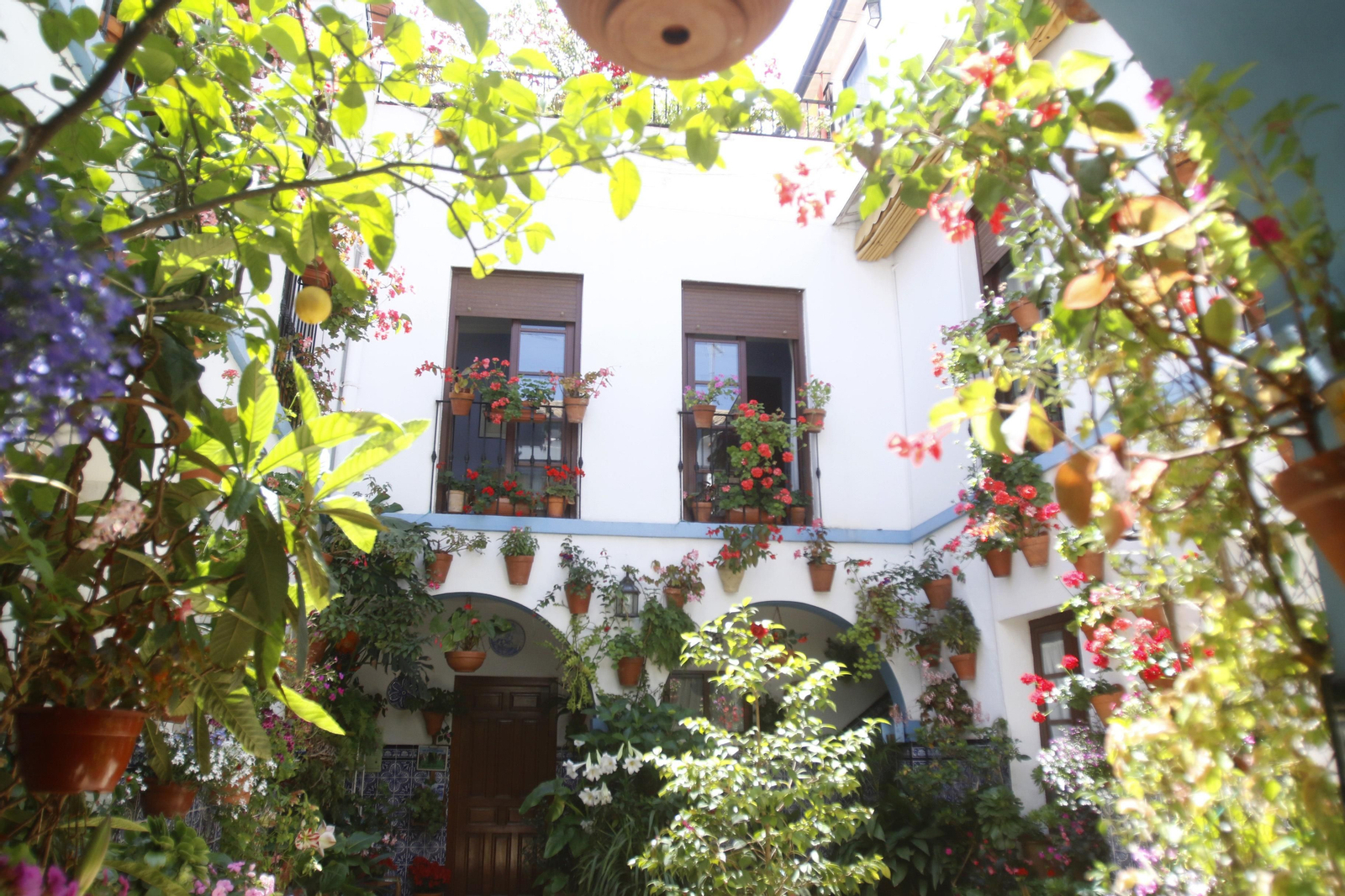 Ruta Regina - Realejo de los Patios de Córdoba, en imágenes