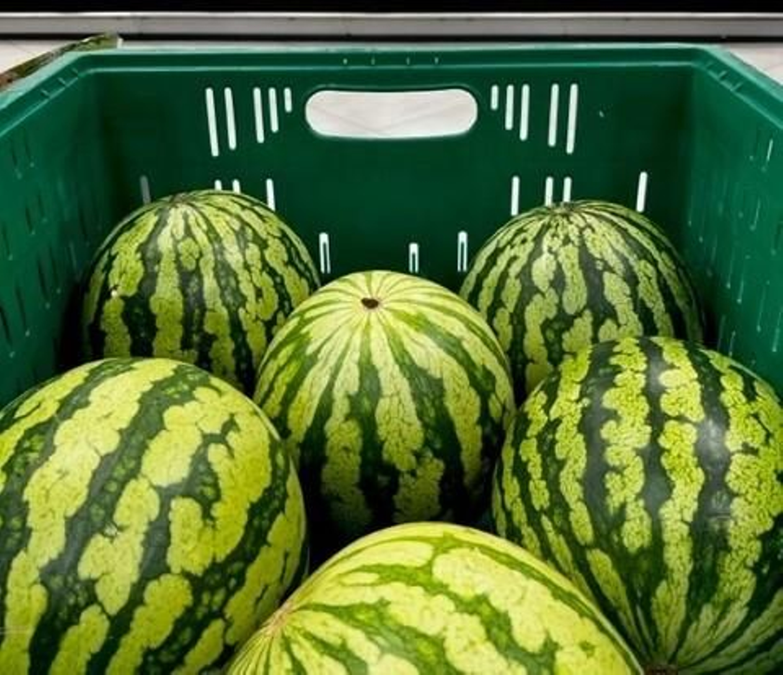 Sandía de Mercadona para la venta.