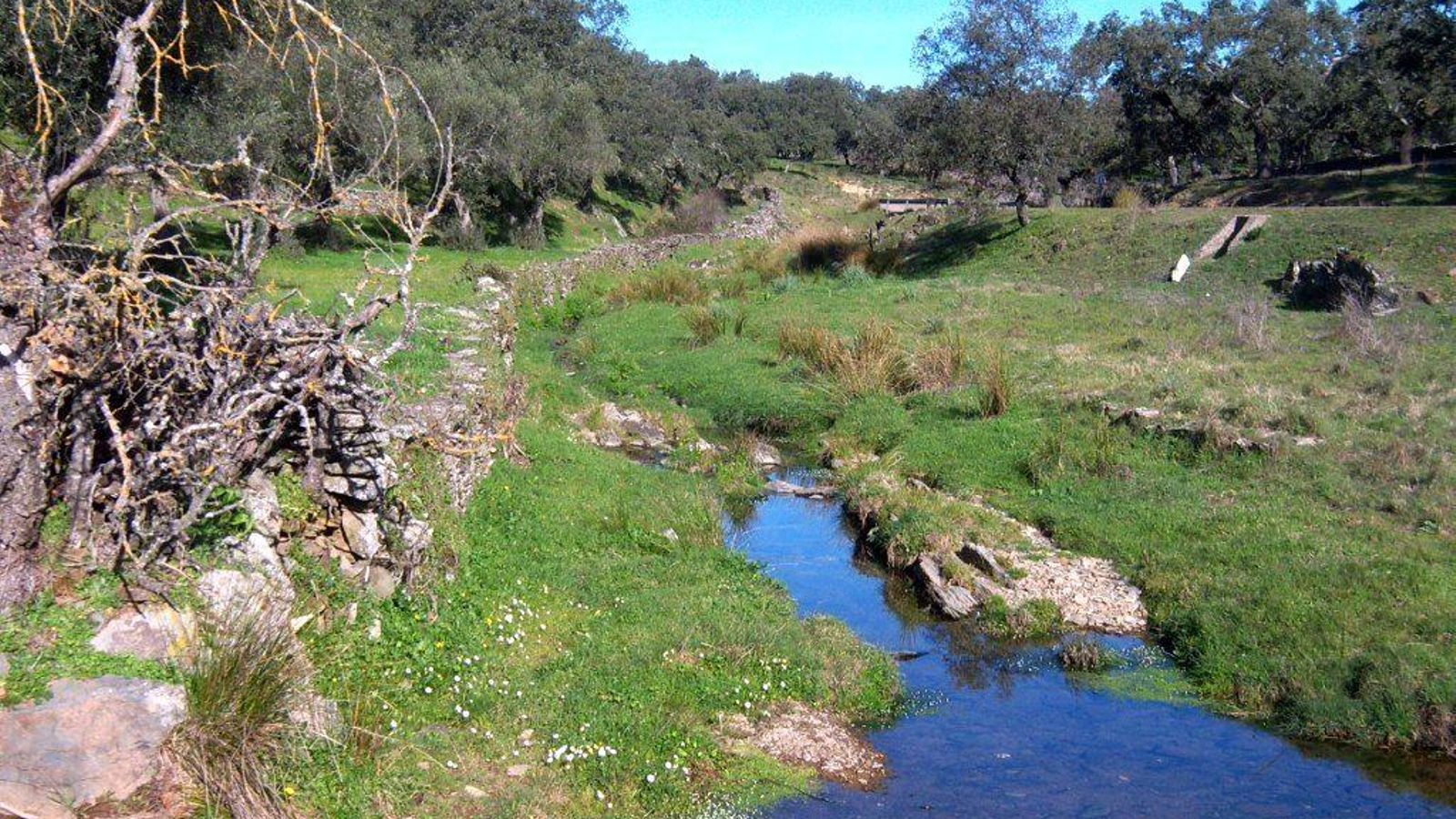 Sendero Alto del Bujo