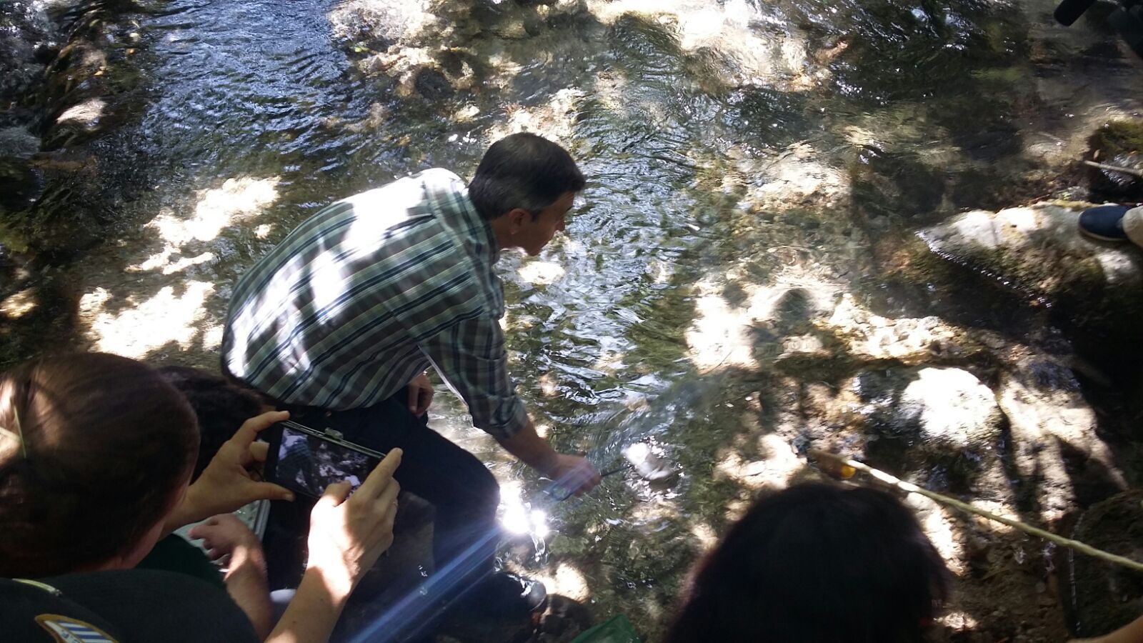 Suelta de 10.000 truchas en el Majaceite