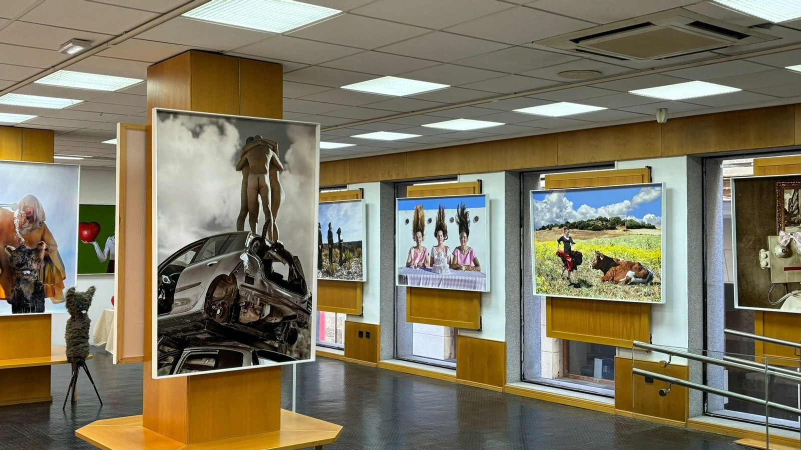 Imagen de la muestra.