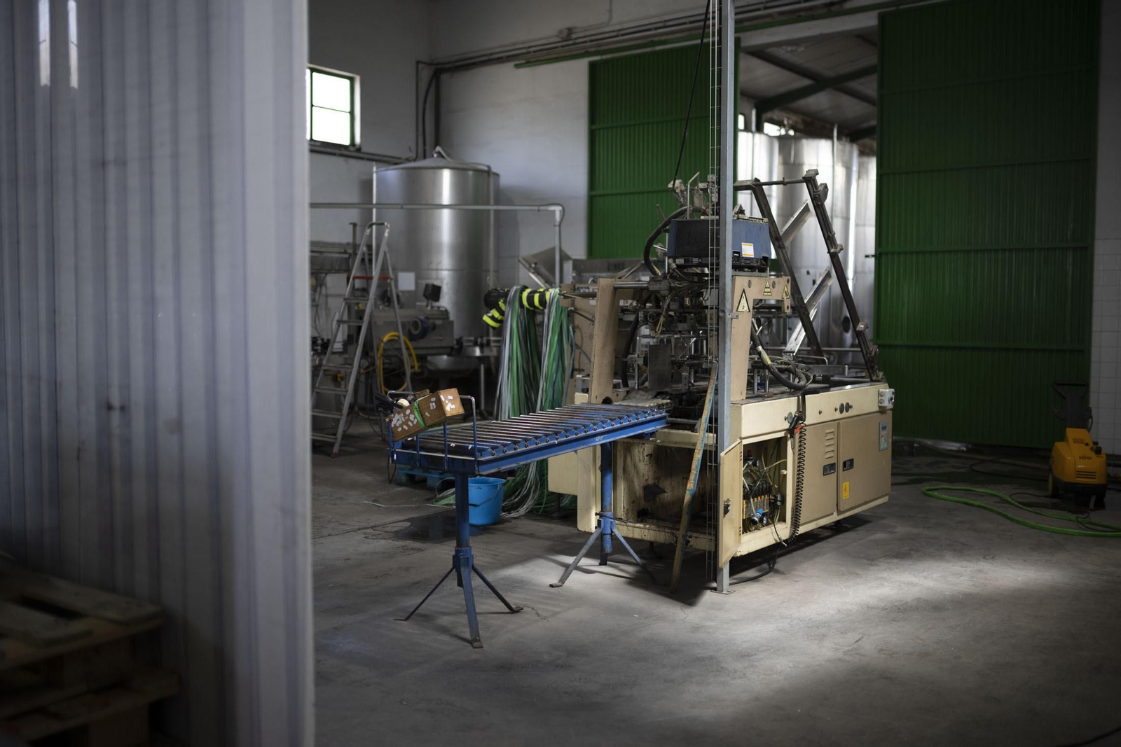 Imágenes de la vendimia en el Condado de Huelva