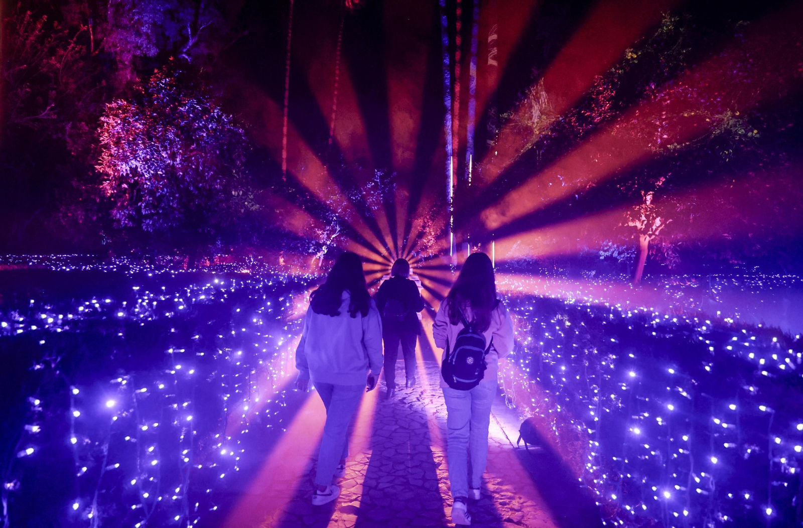 Las imágenes de un paseo por Naturaleza Encendida