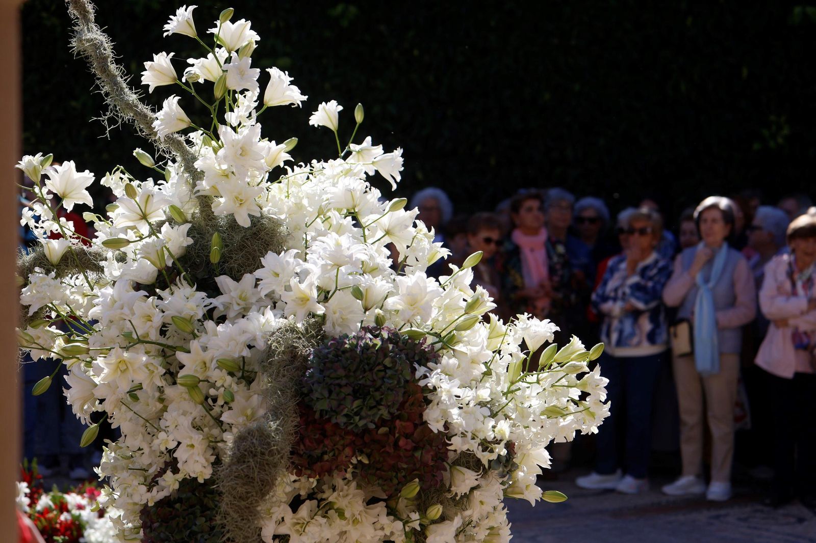 Las últimas horas para visitar las instalaciones de Flora en Córdoba, en imágenes